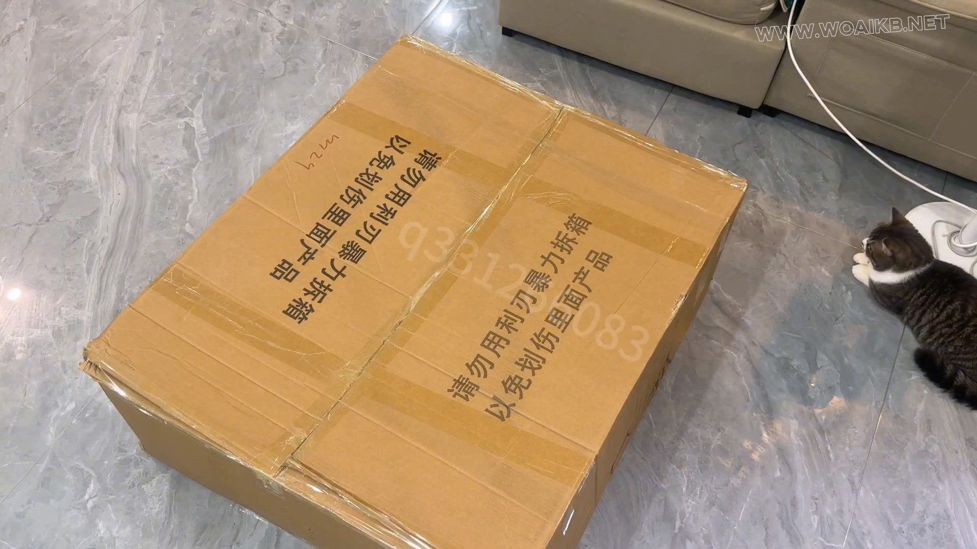 邪恶快递 预览图