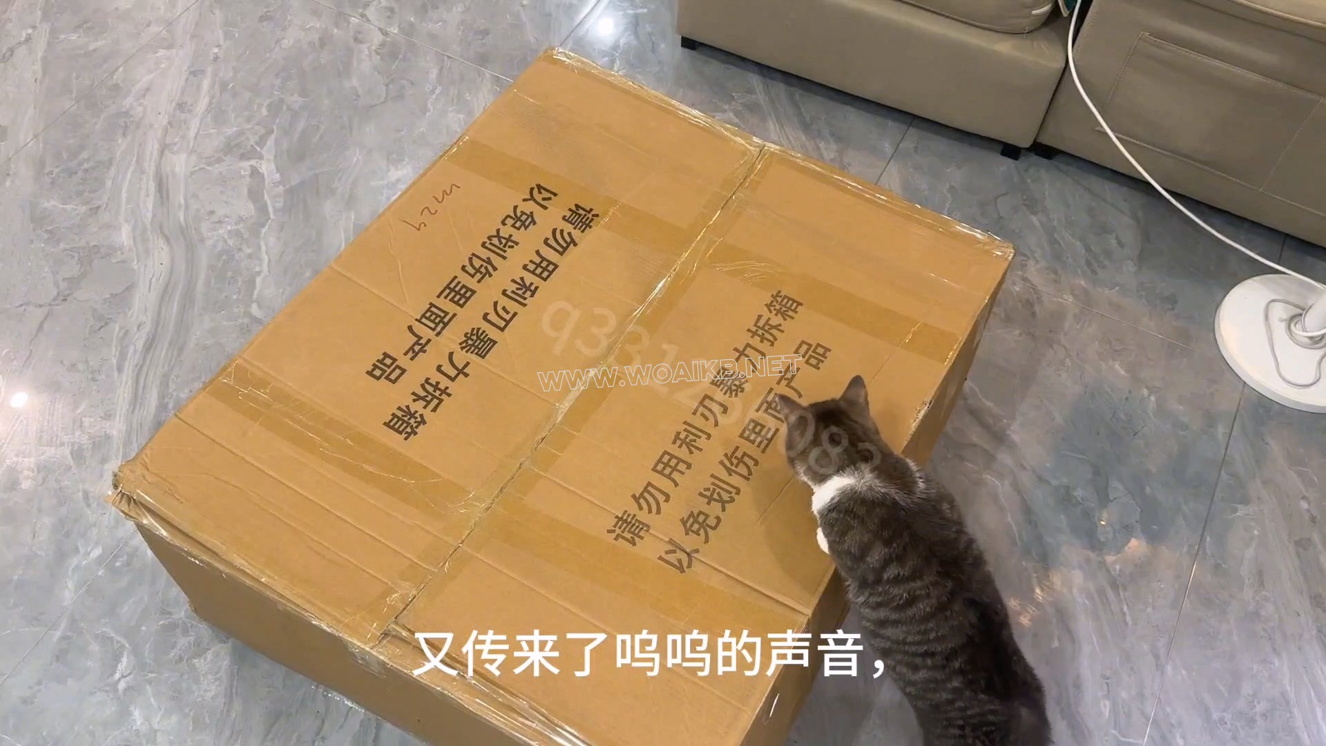 邪恶快递 预览图