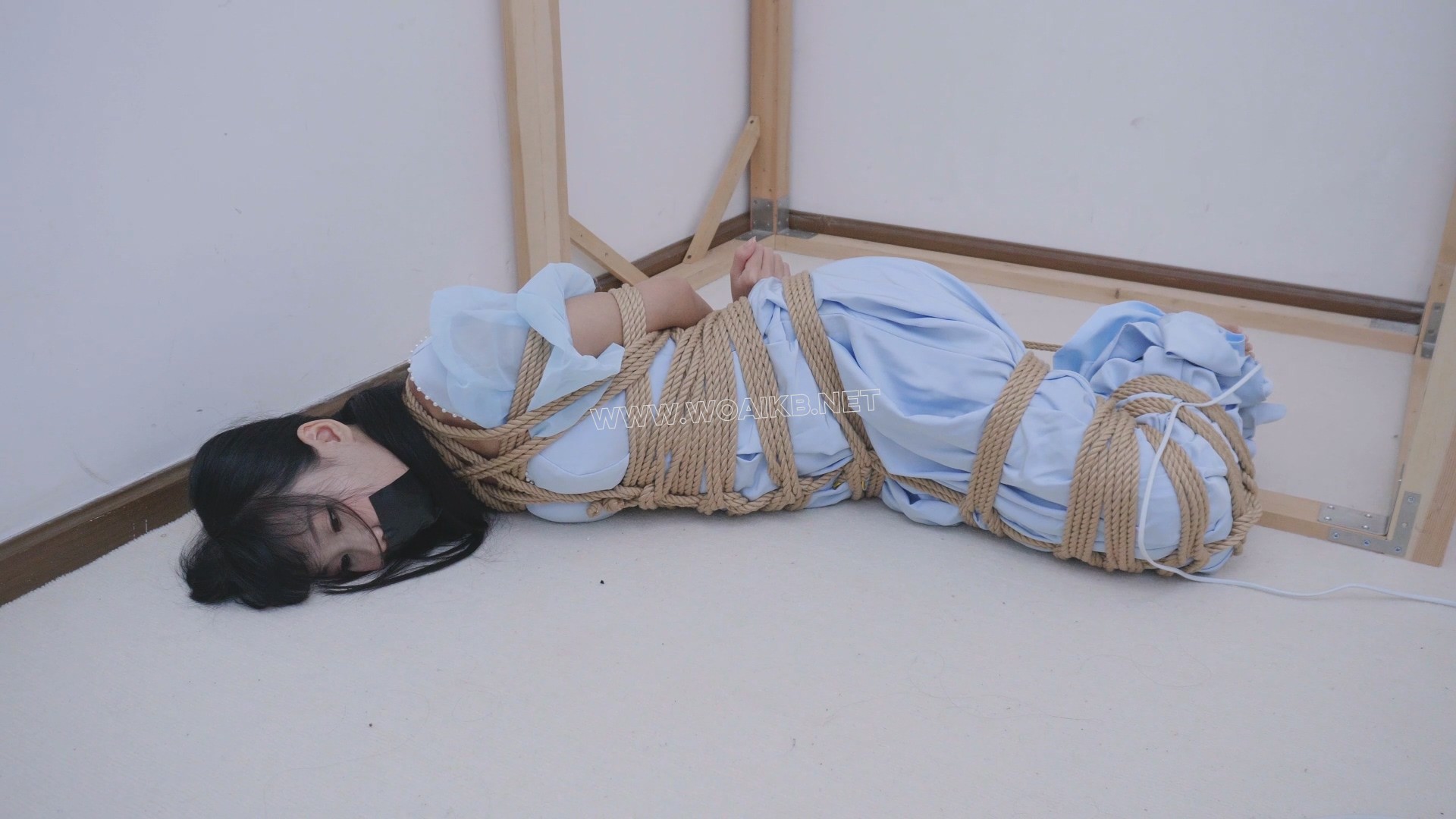定拍礼服捆绑调教 预览图