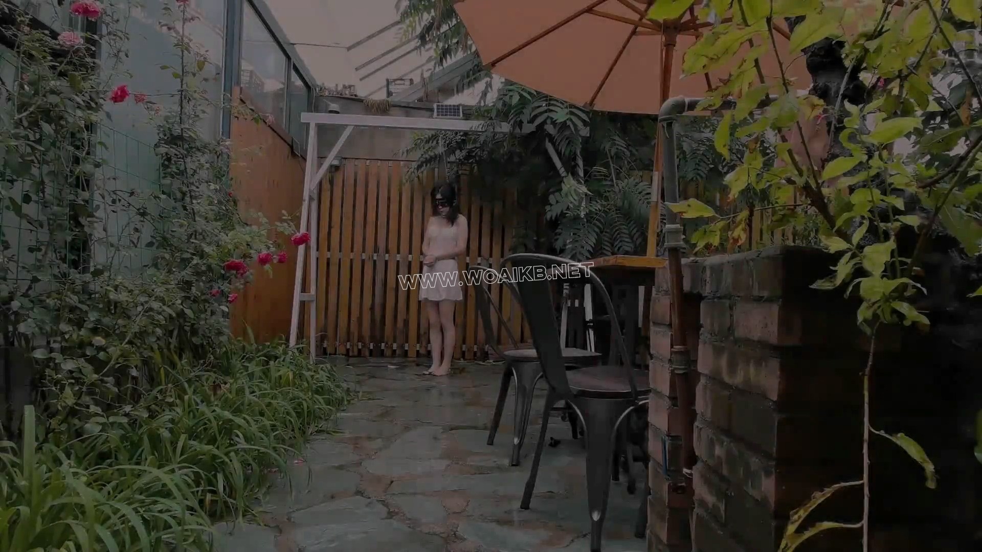 第七部《孤注一掷》（下集） 预览图