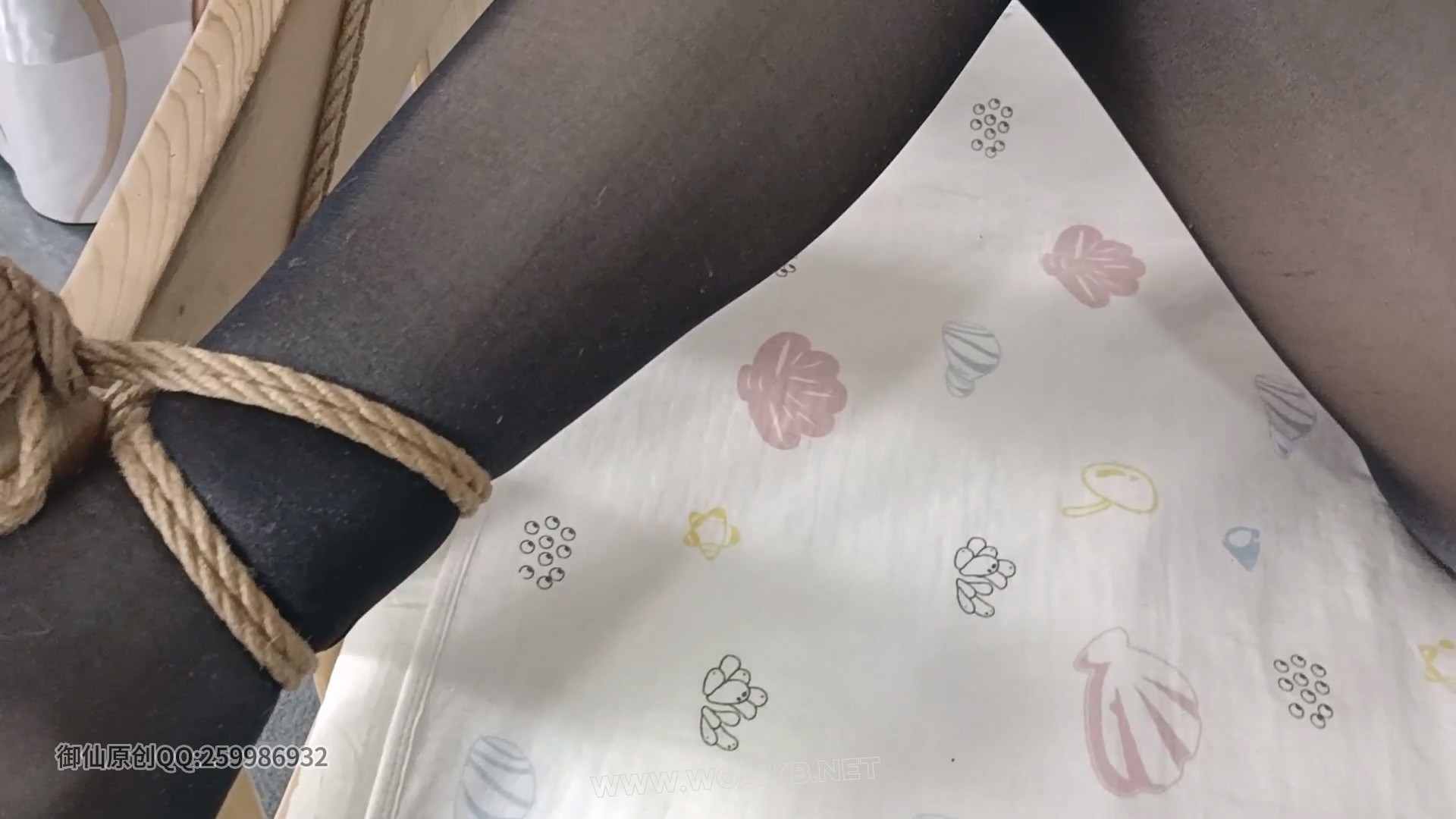 审讯女间谍（夹刑 电击） 预览图