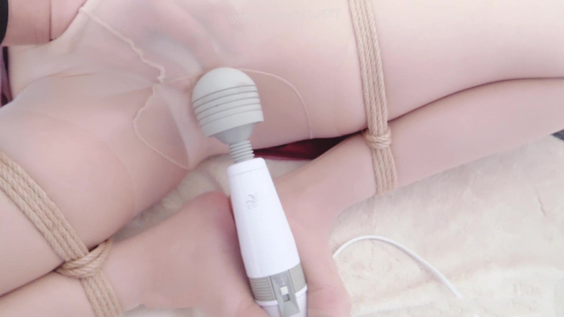 伊伊m腿紧缚强制 预览图
