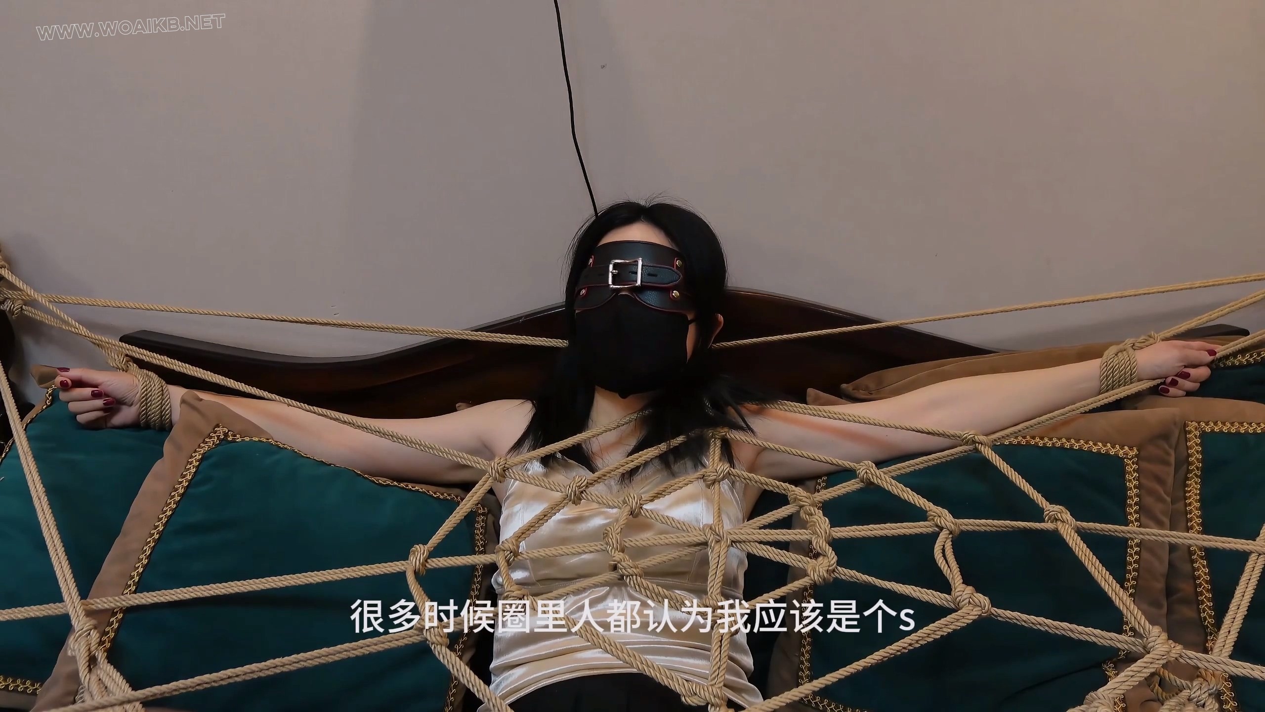 第八部《孤注一掷II》（特别篇） 预览图