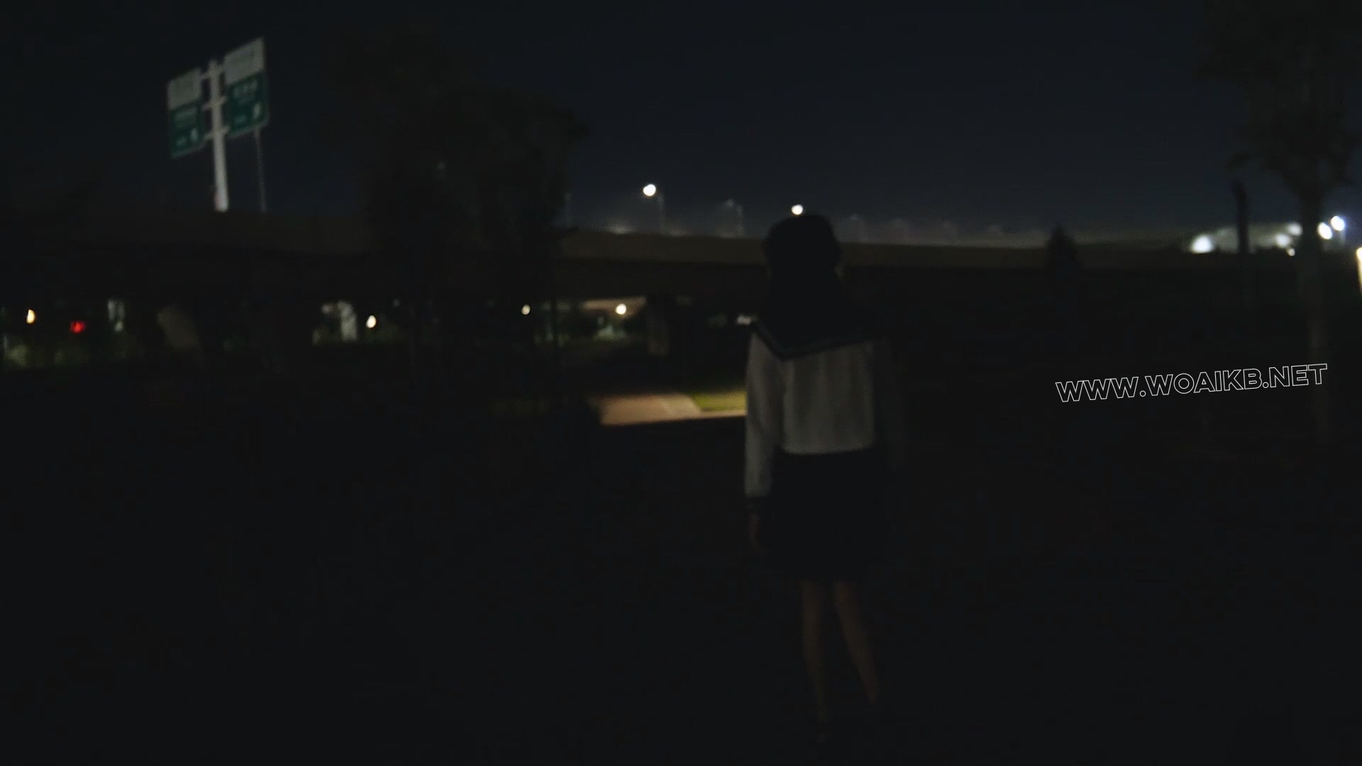 小仆夜晚外出高 晚上带小仆出去玩 jk制服配泳衣的组合十分好看 内置玩具让她边走边 预览图