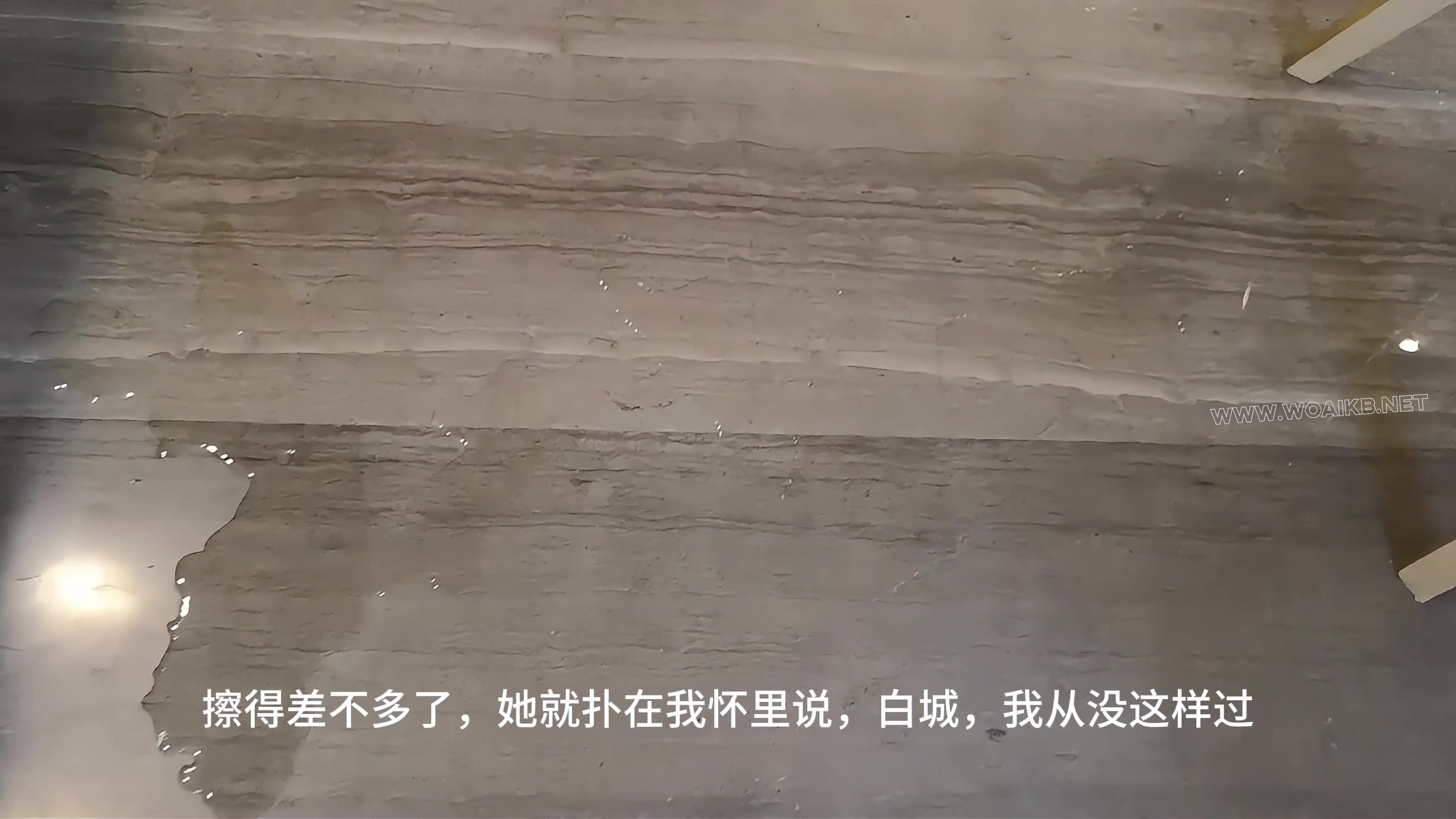 第九部《左轮手枪》第四集（完结） 预览图