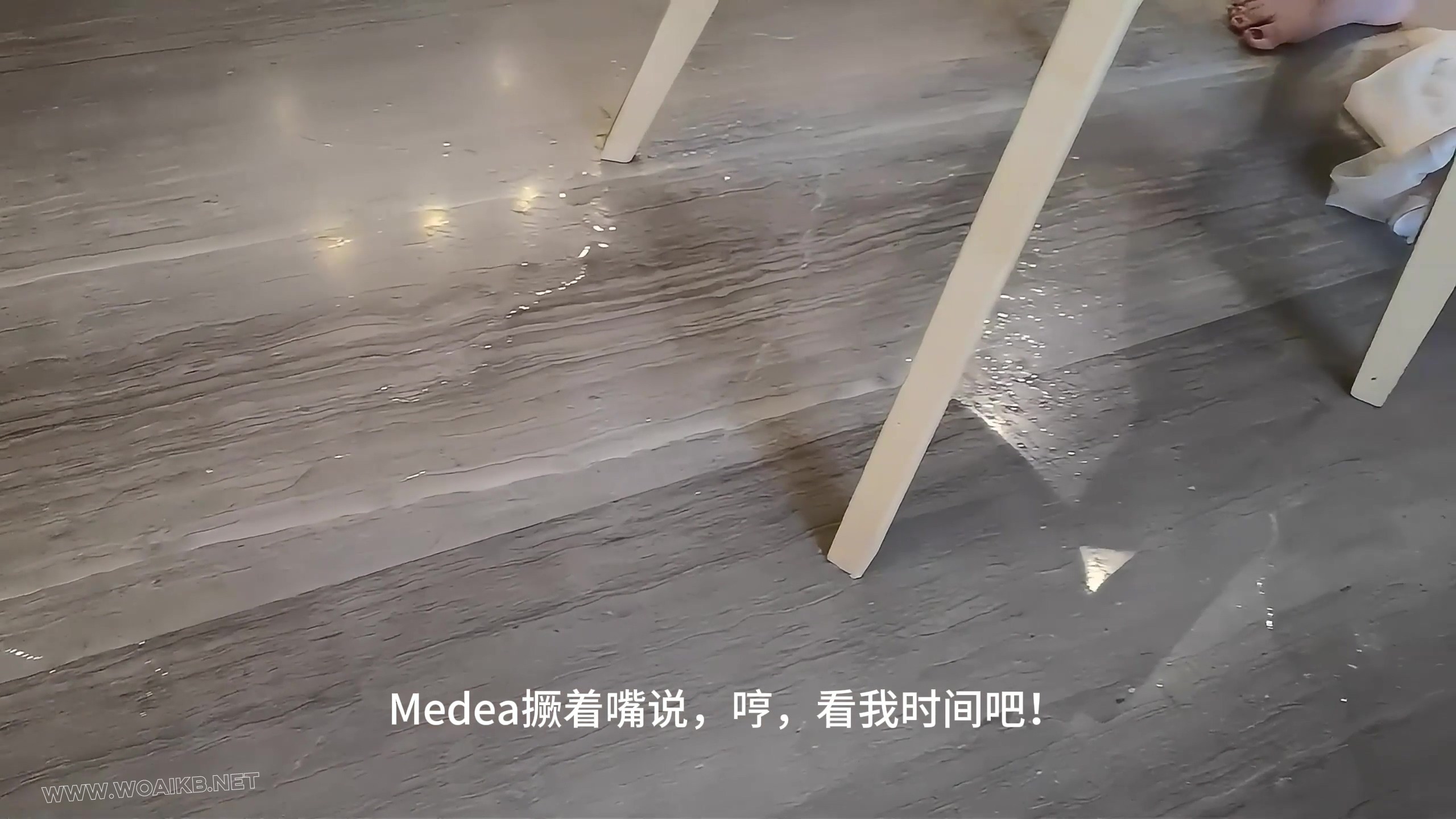第九部《左轮手枪》第四集（完结） 预览图