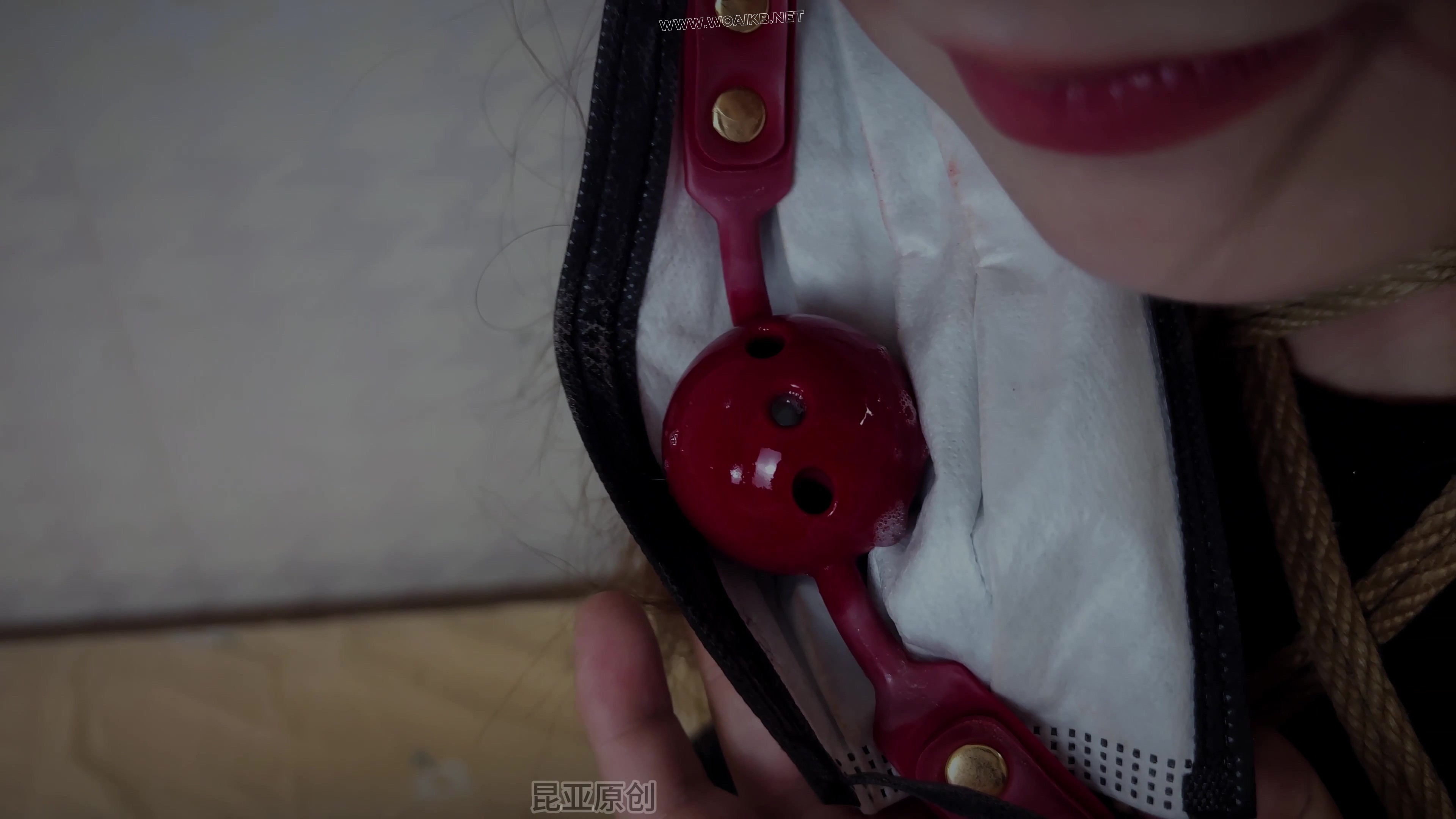 折磨我的同居女室友 预览图