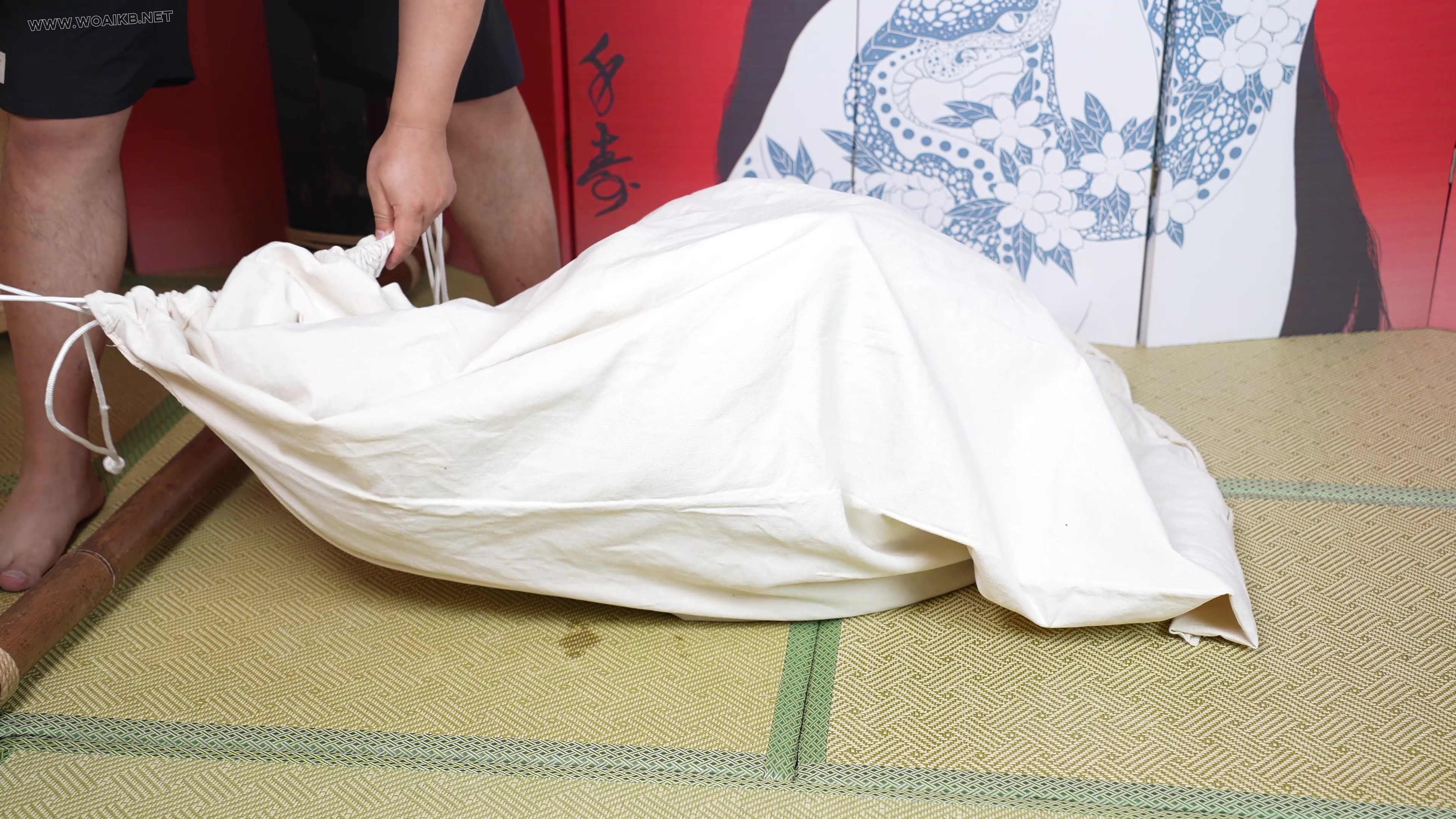 小0-cos格蕾修，极限驷马吊缚涂摸润滑油，海老缚，后高手放置装袋 预览图