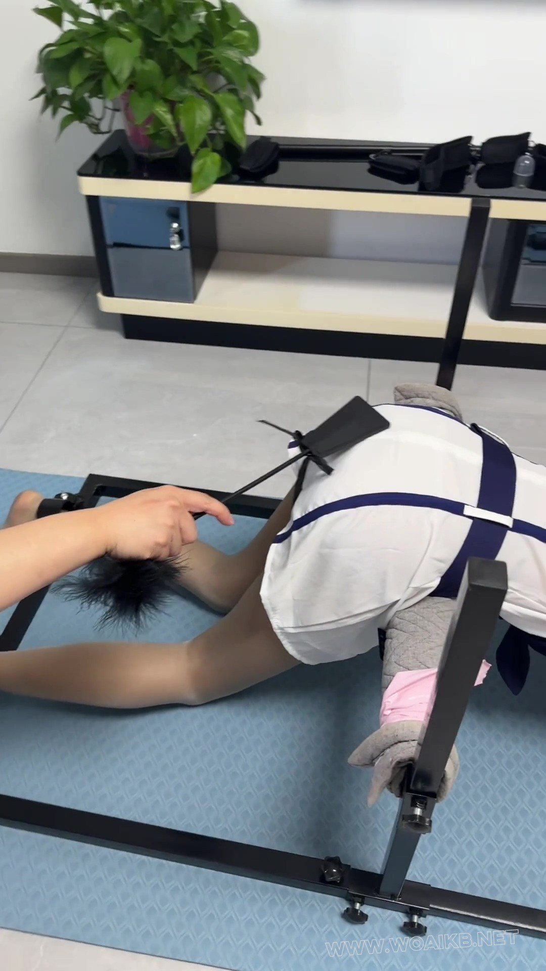 萝莉美少女 禁锢在训狗架上 鞭打屁股 玩脚 挠脚心 预览图