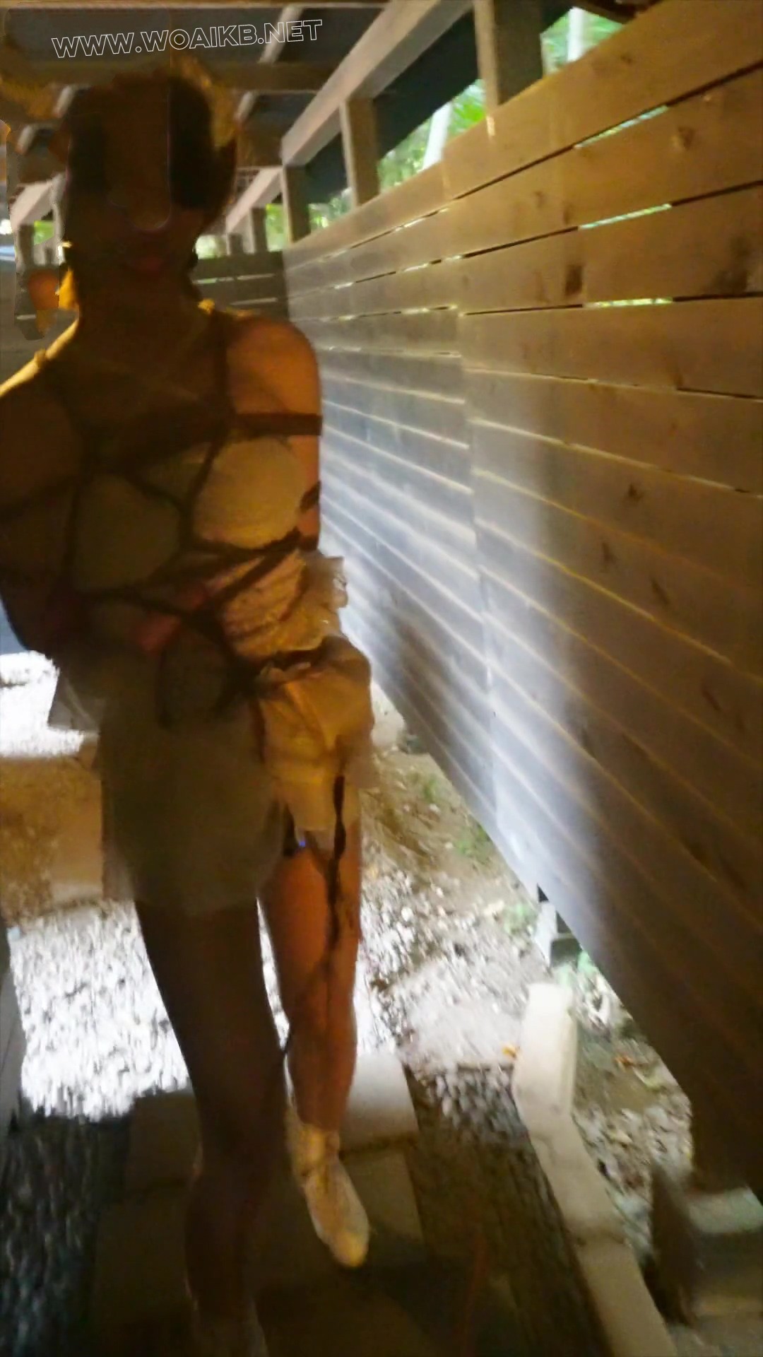 在逃公主捕回羞耻户外 预览图