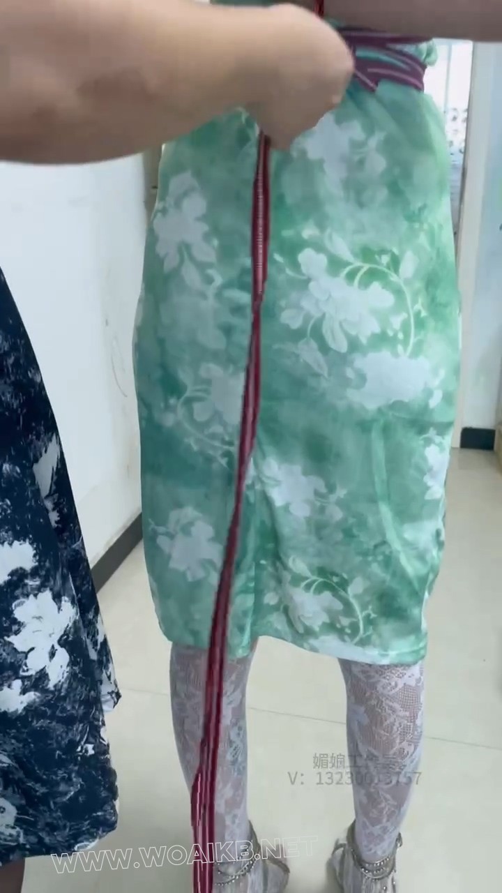 来自圈内女王的挑衅（第二部） 预览图