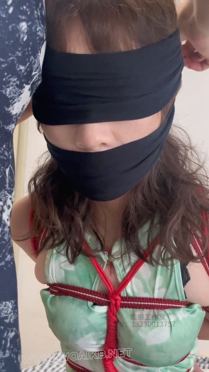 来自圈内女王的挑衅（第二部） 预览图