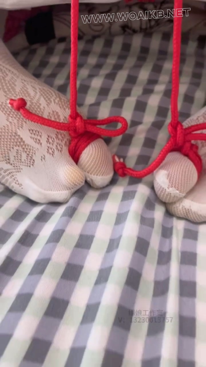 来自圈内女王的挑衅（第二部） 预览图