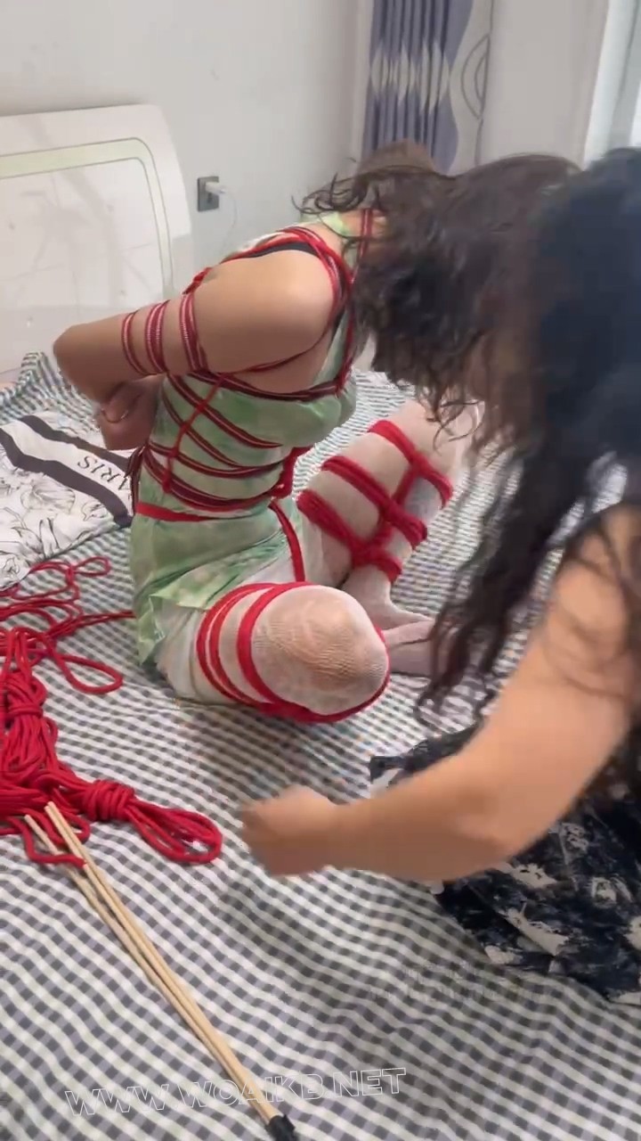 来自圈内女王的挑衅（第二部） 预览图