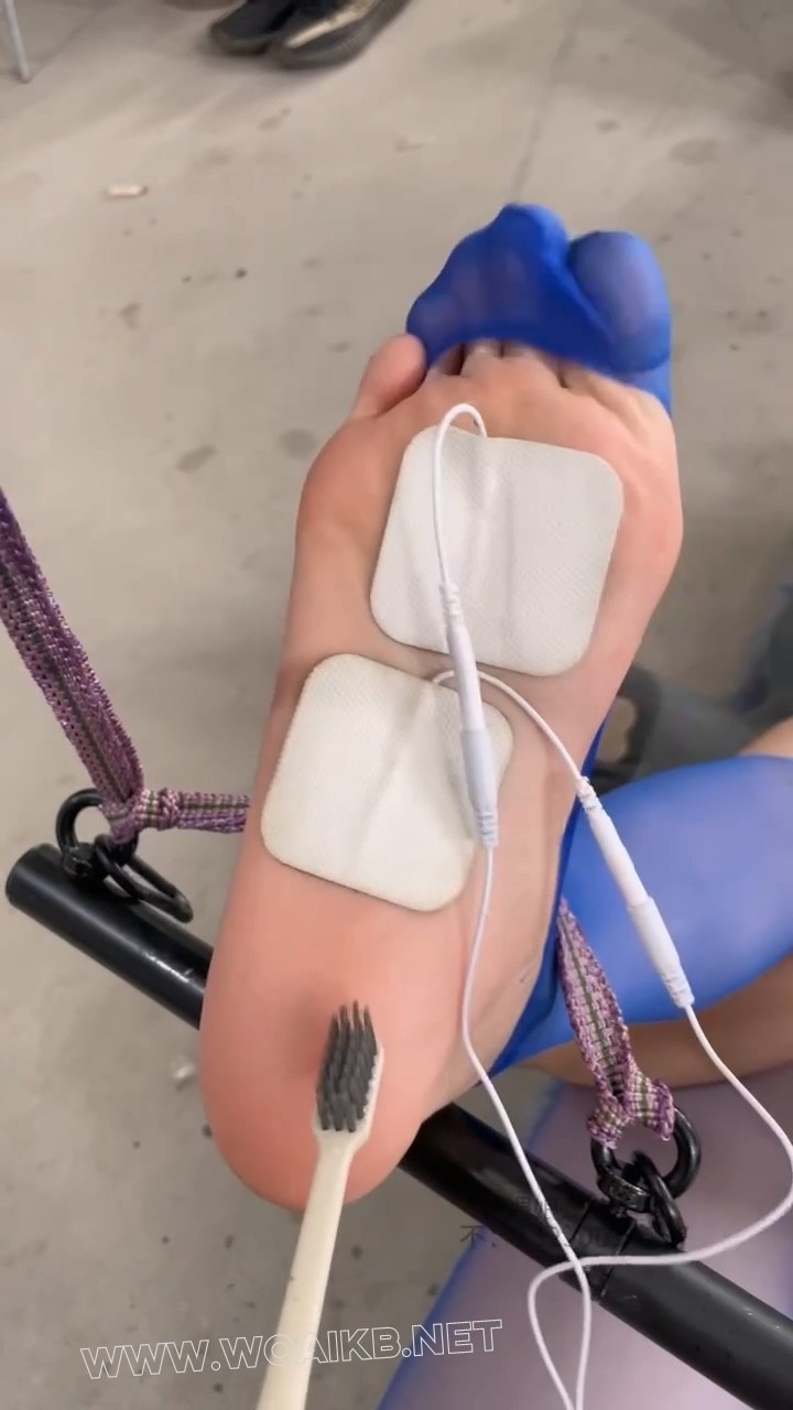 来自圈内女王的挑衅（第三部） 预览图