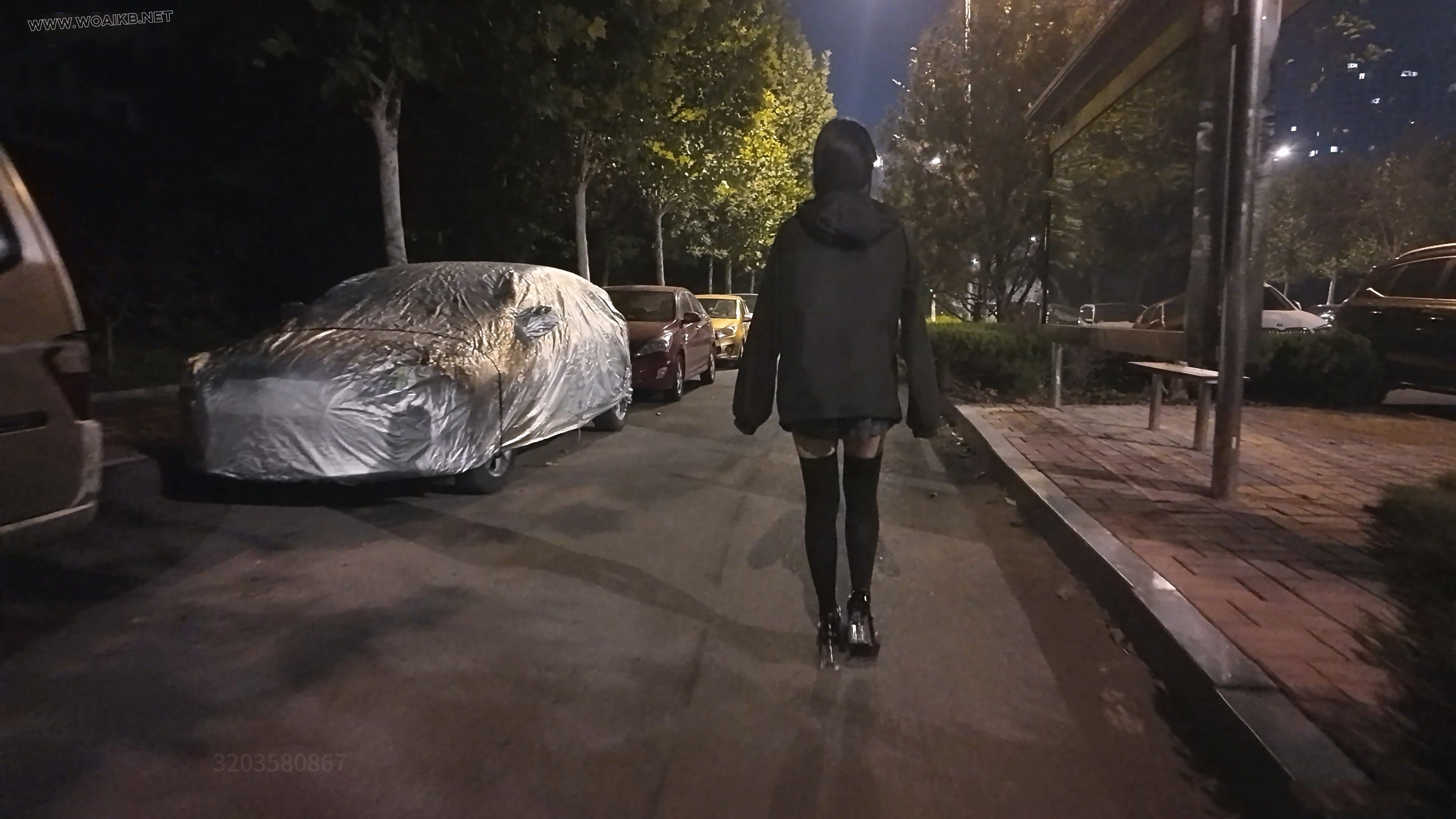 新人少萝妹子霜喵 捆绑户外震动假Y具调教 悦耳萝莉音耳边姣川 对话声音都颤抖了 专 预览图
