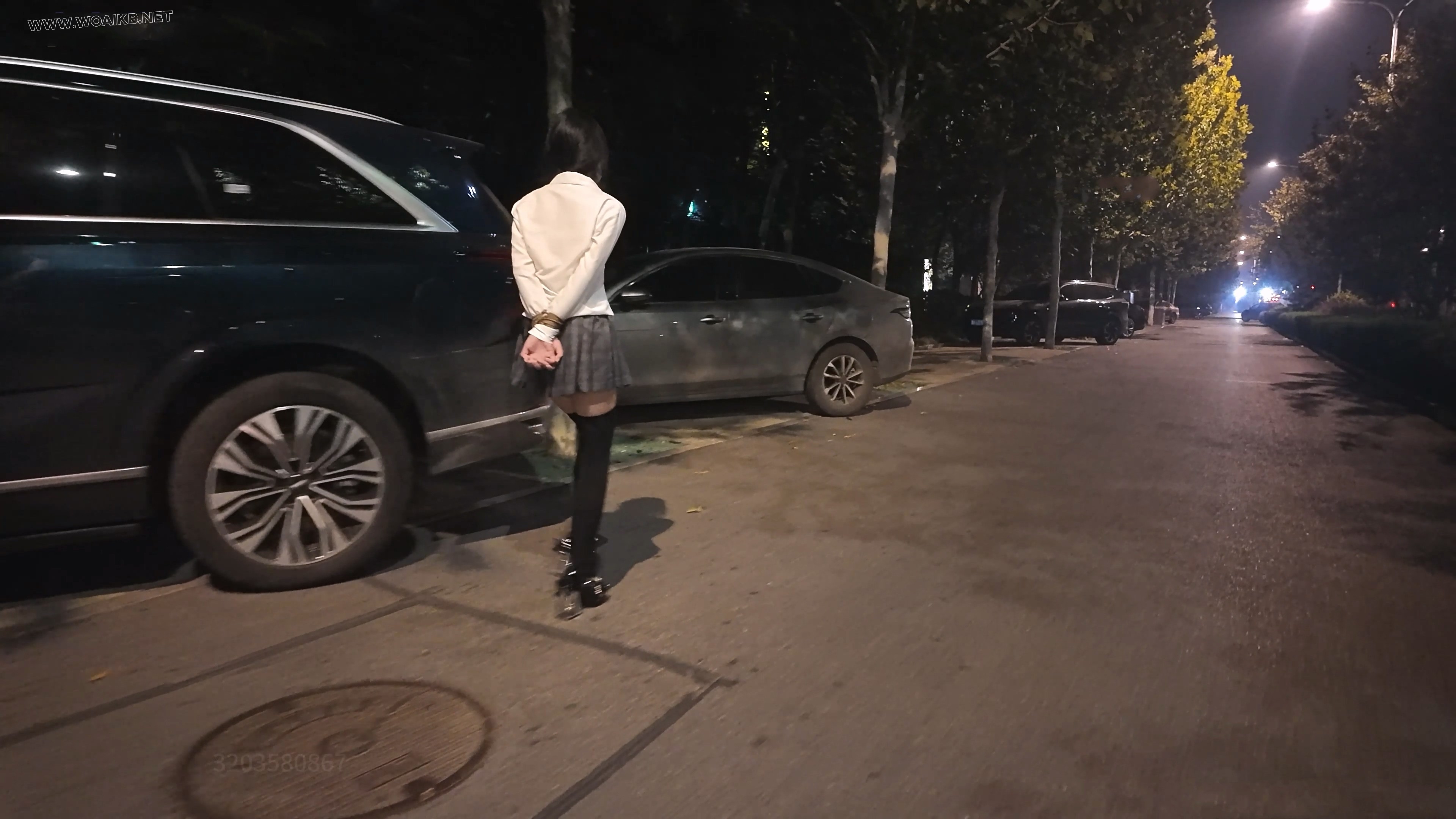 新人少萝妹子霜喵 捆绑户外震动假Y具调教 悦耳萝莉音耳边姣川 对话声音都颤抖了 专 预览图