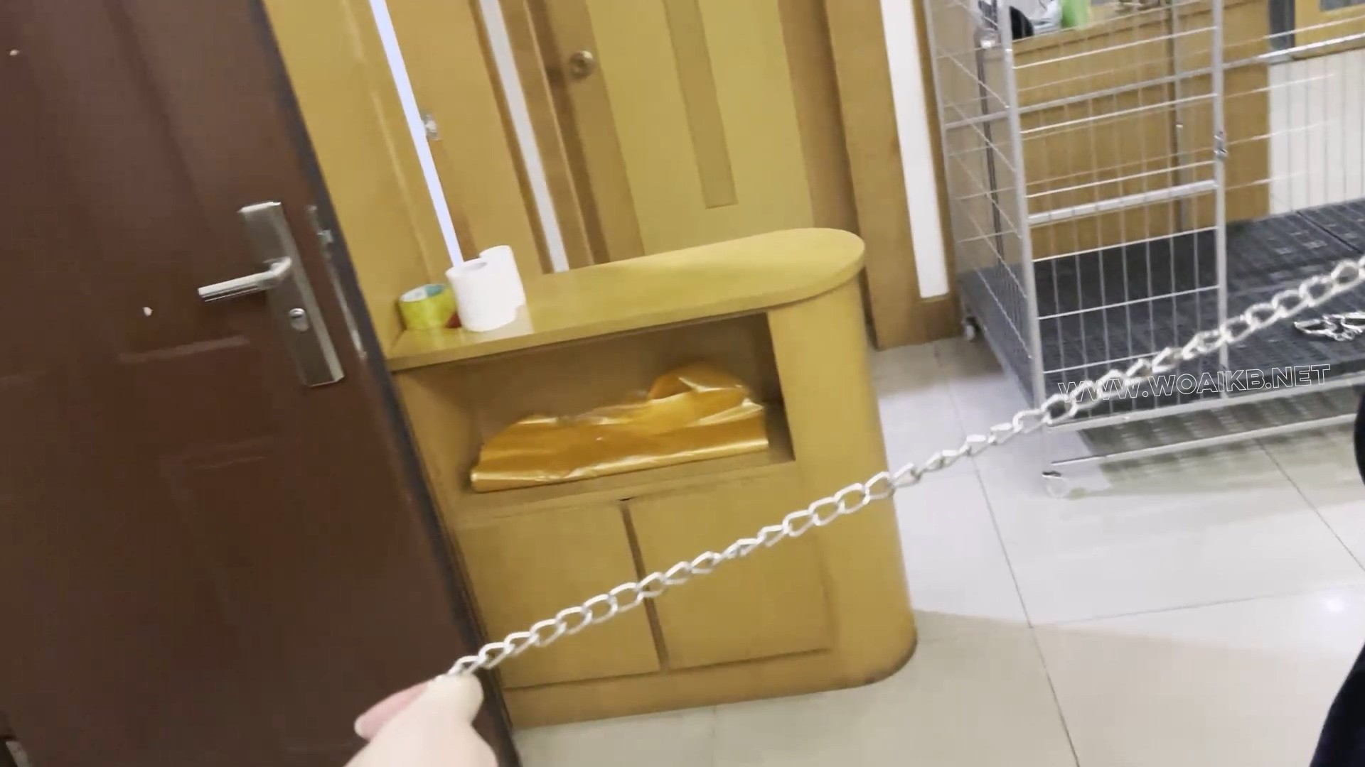 《调教师日记之特殊少女改造记》-3，白丝镣铐束缚家务+震动B强高奖励，小X逐渐习惯 预览图