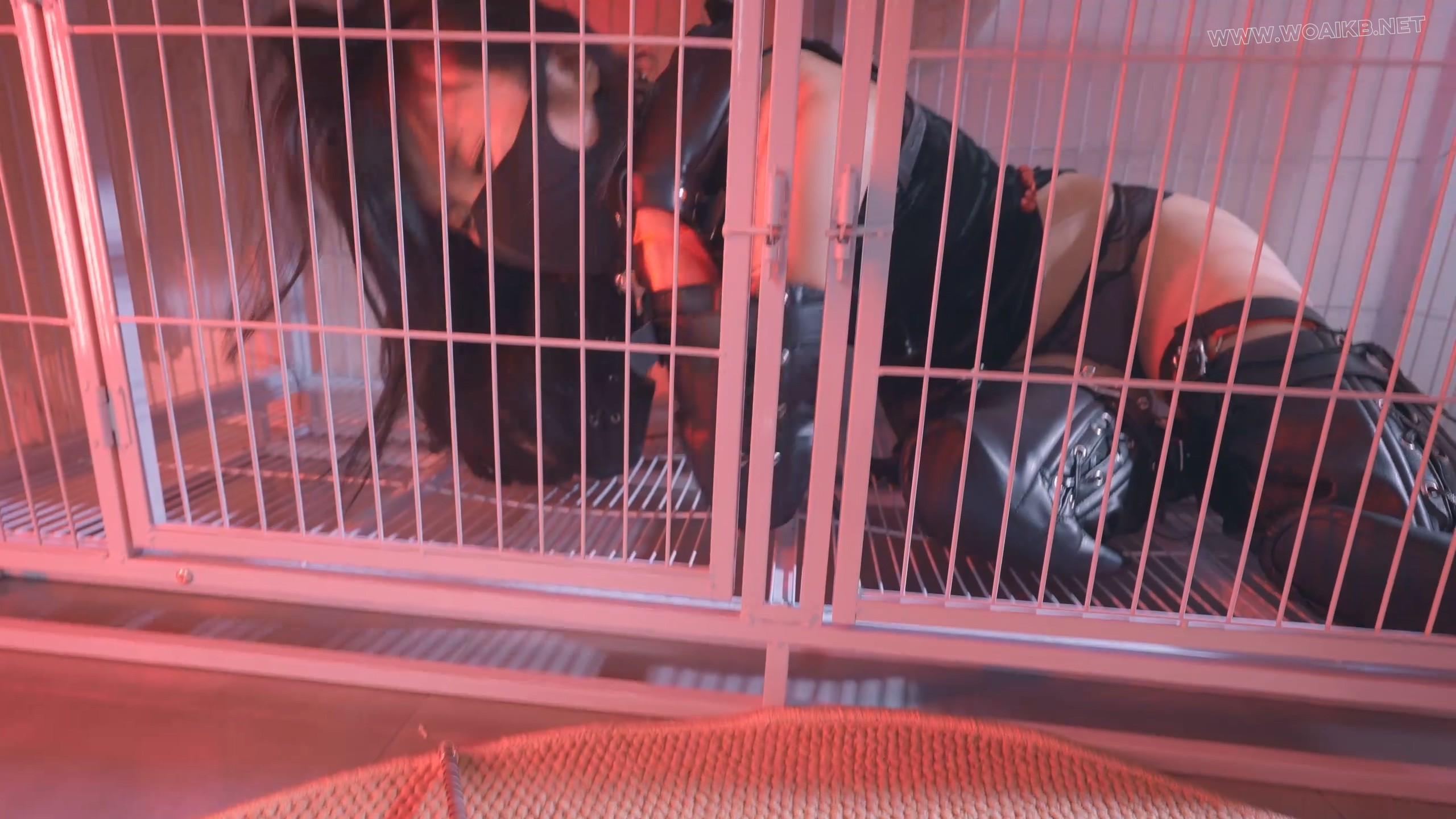 《欠债人妻4》和被驯服的妖艳人妻玩起了K9+电棍击打+狗奴爬行+项圈+AV棒强羔+吊脖 预览图