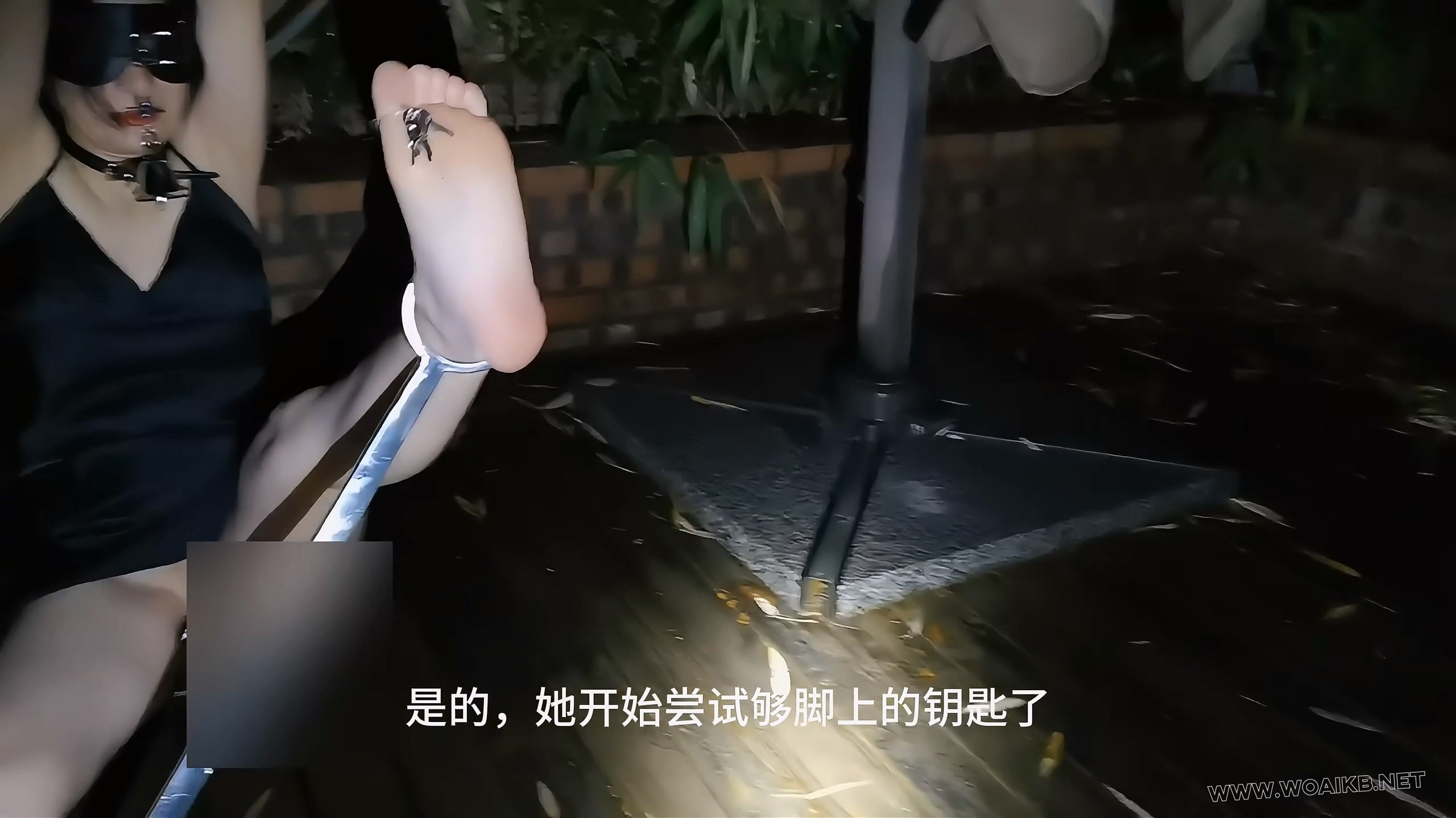 第十一部《人妻惩戒所》若若篇（上集） 预览图