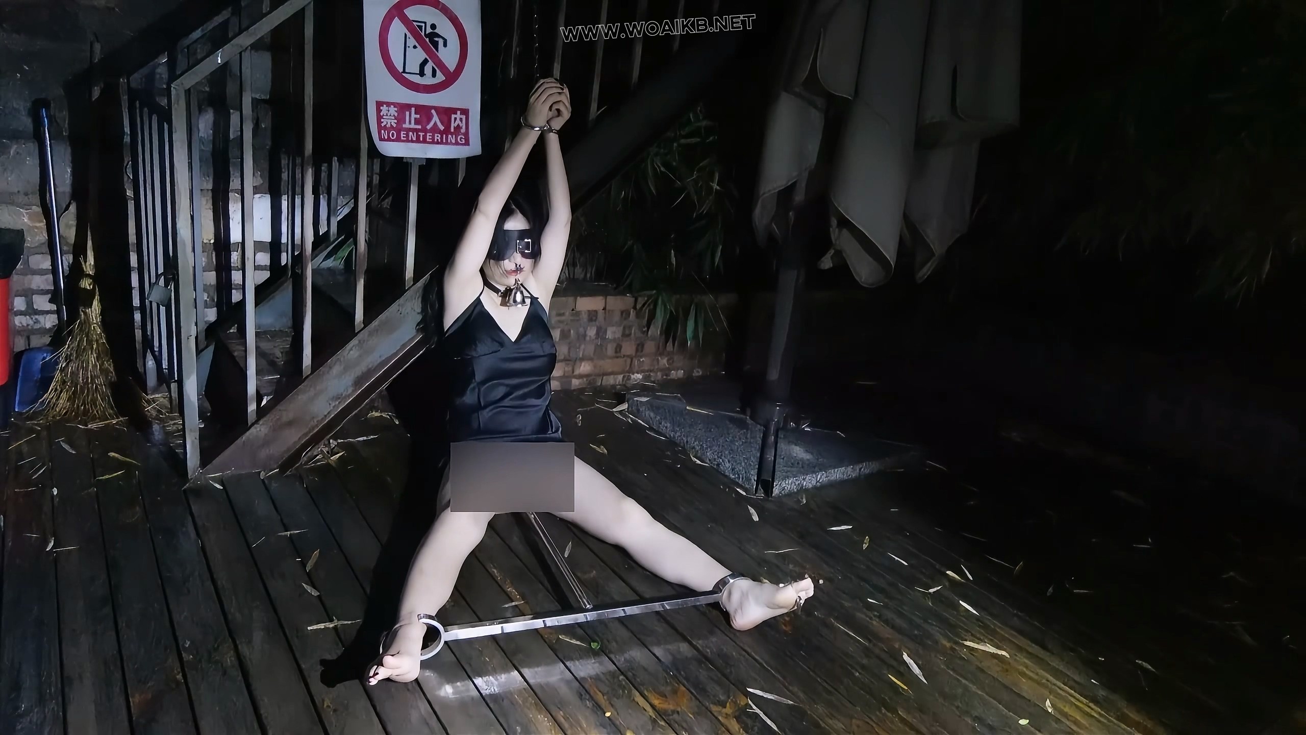 第十一部《人妻惩戒所》若若篇（上集） 预览图