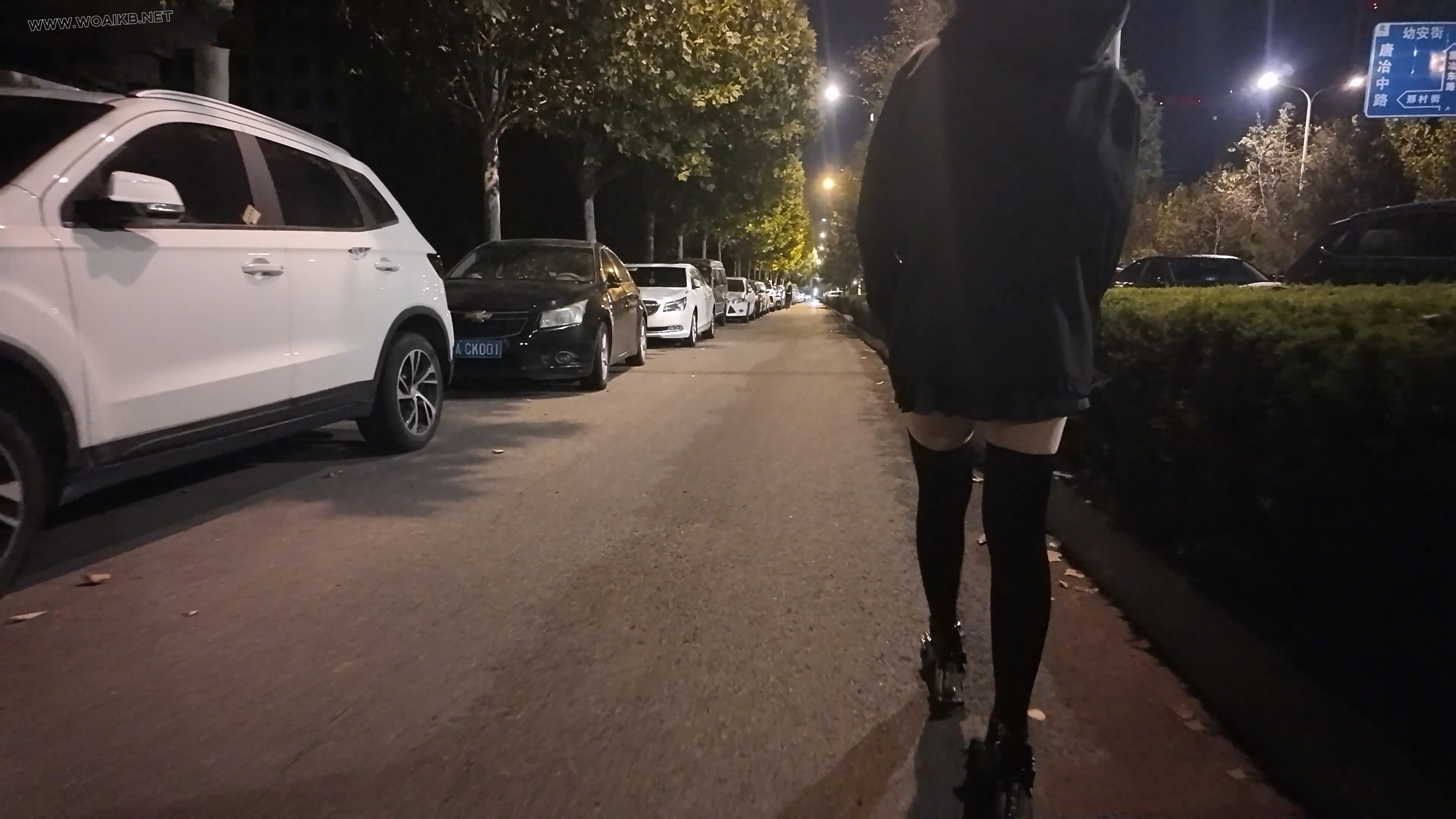 少萝霜喵 捆绑路边震动假Y具调教 第二弹 悦耳萝莉音耳边姣川 对话声音都颤抖了 路 预览图