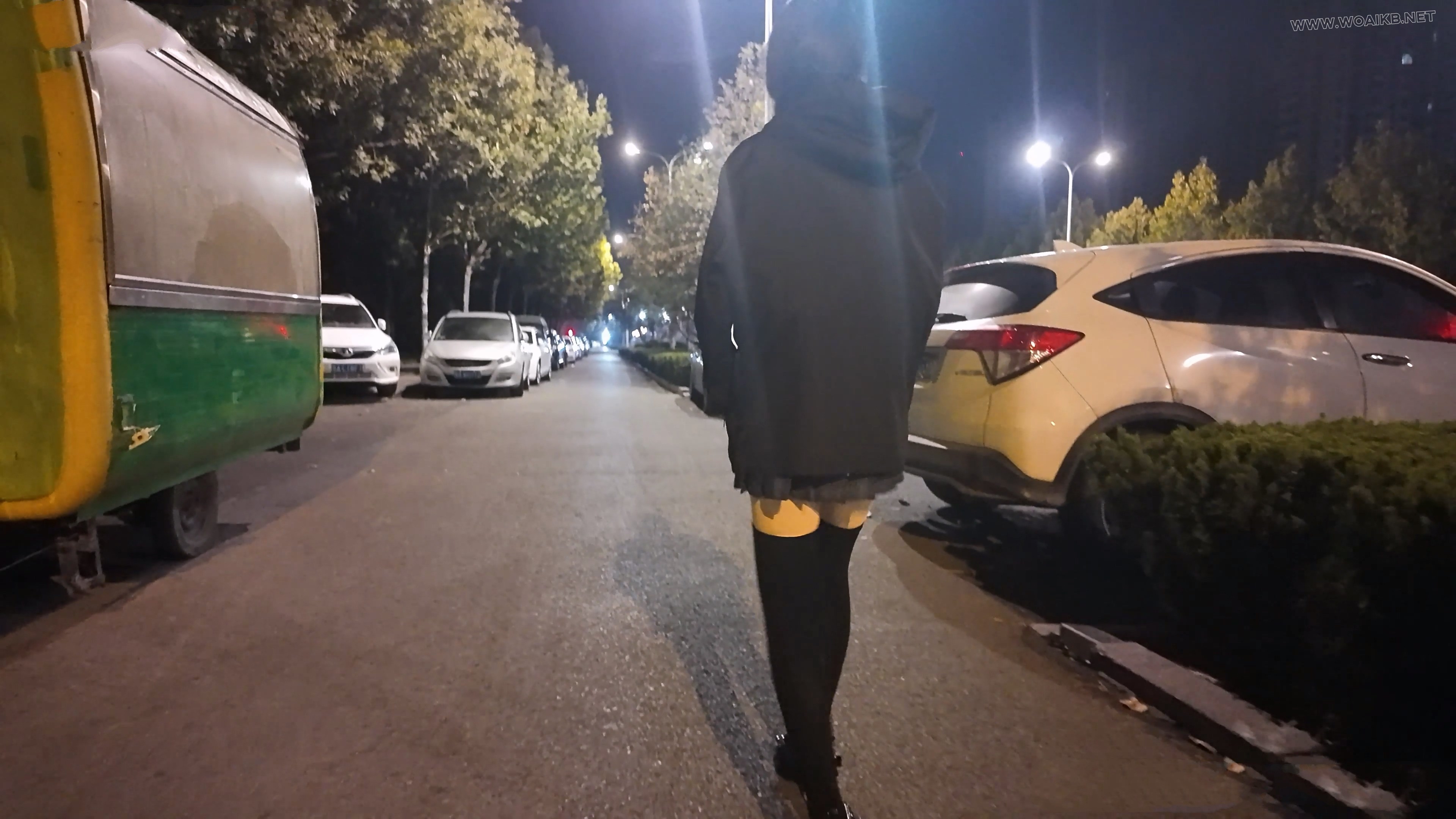 少萝霜喵 捆绑路边震动假Y具调教 第二弹 悦耳萝莉音耳边姣川 对话声音都颤抖了 路 预览图