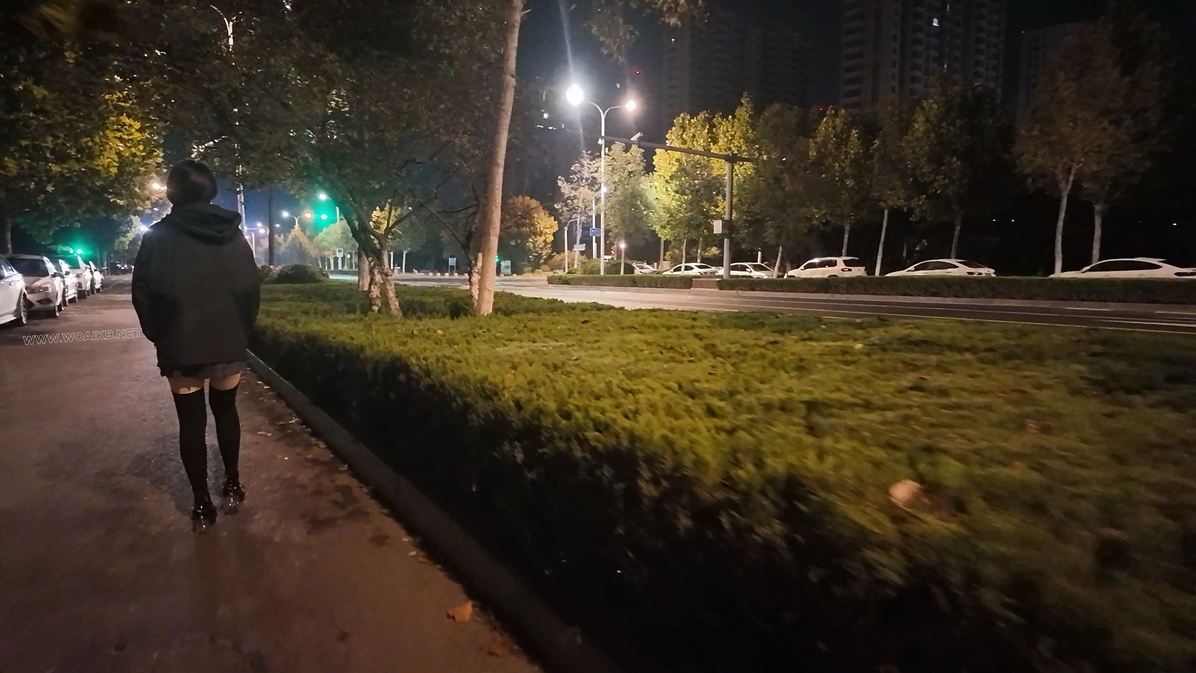 少萝霜喵 捆绑路边震动假Y具调教 第二弹 悦耳萝莉音耳边姣川 对话声音都颤抖了 路 预览图