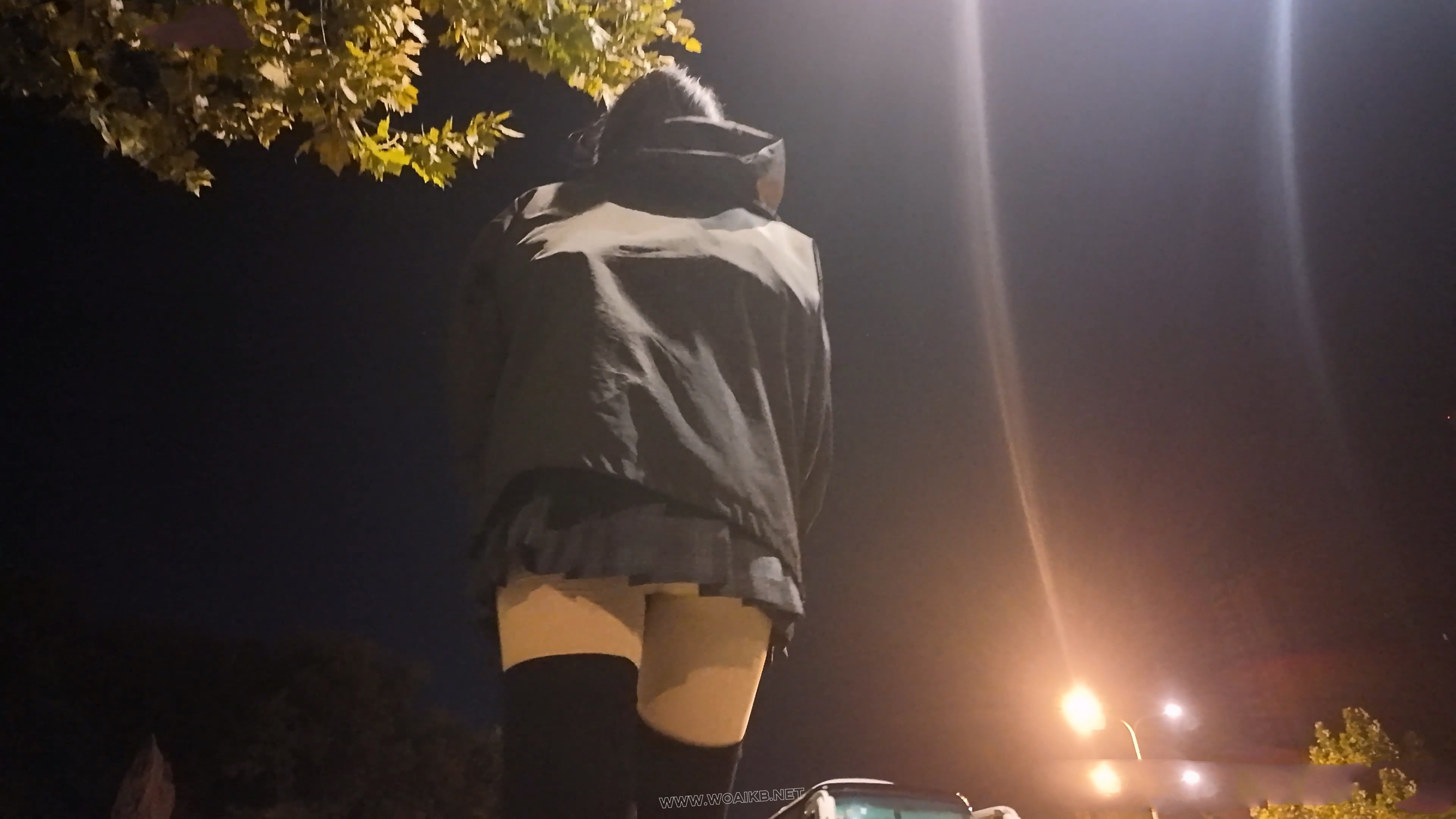 少萝霜喵 捆绑路边震动假Y具调教 第二弹 悦耳萝莉音耳边姣川 对话声音都颤抖了 路 预览图