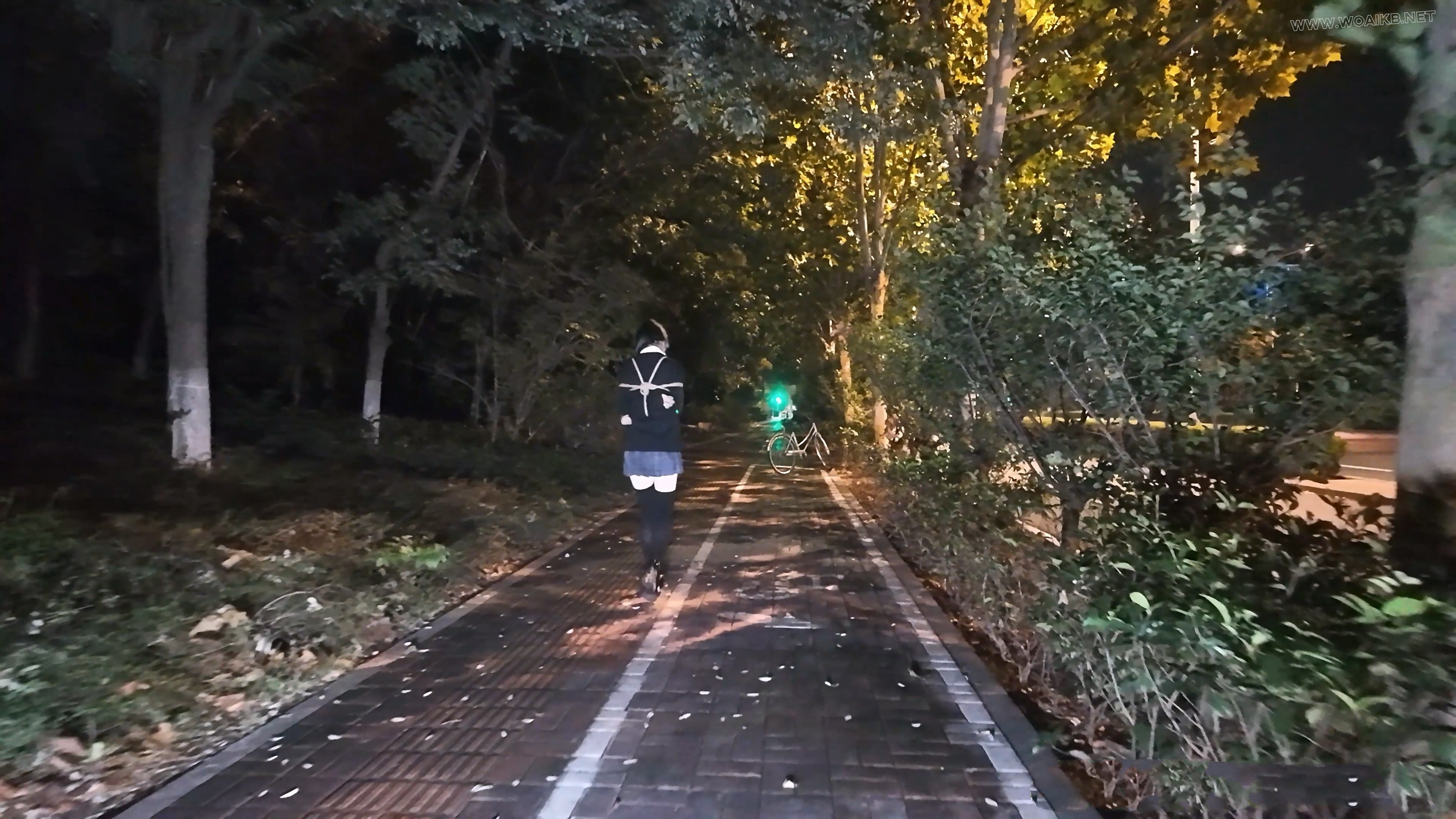 少萝霜喵 捆绑路边震动假Y具调教 第二弹 悦耳萝莉音耳边姣川 对话声音都颤抖了 路 预览图