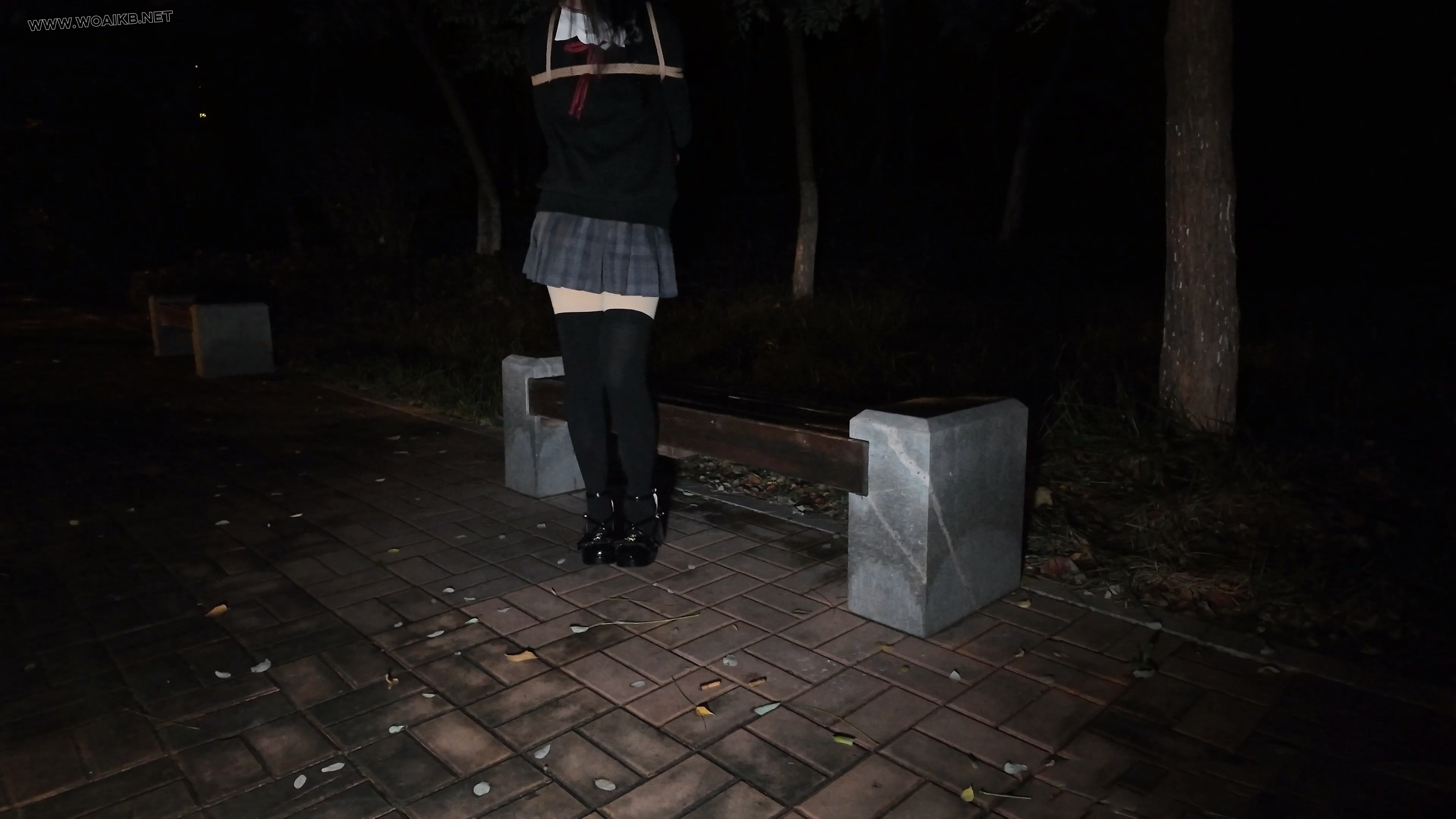 少萝霜喵 捆绑路边震动假Y具调教 第二弹 悦耳萝莉音耳边姣川 对话声音都颤抖了 路 预览图