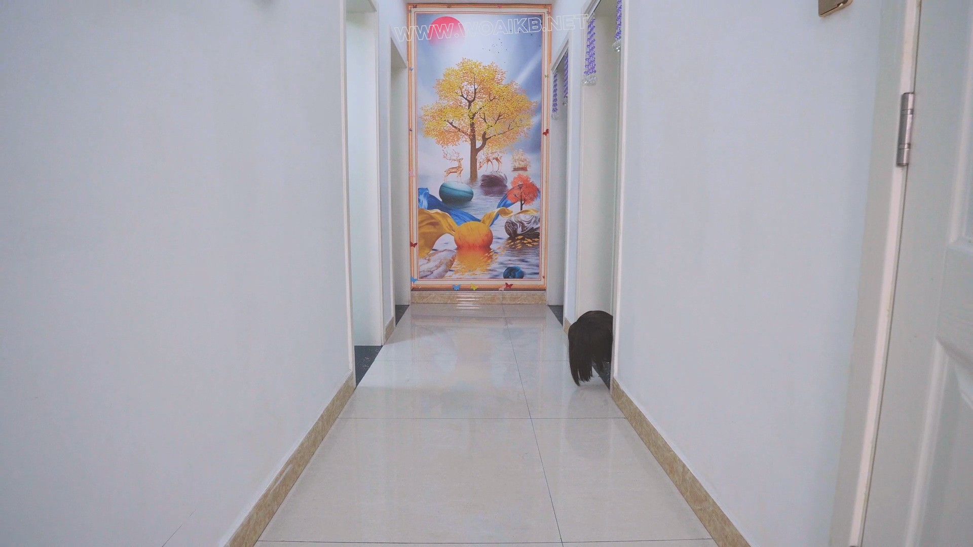 定拍之被人贩盯上的猎物 二 预览图