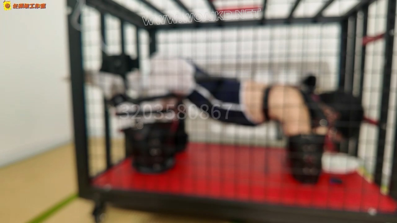 霜喵人形犬调教 爬行 狗笼固定崩溃电击 口水收集 sp tk 多元素 在地下室发现一条被 预览图