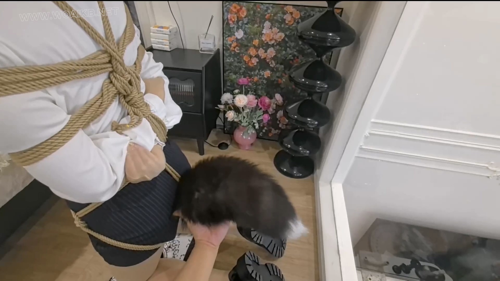 【FXX-橱窗内的model】丝袜嵌入嘴里的袜娘 我愿称之为“行走的榨汁机”远程遥控内 预览图