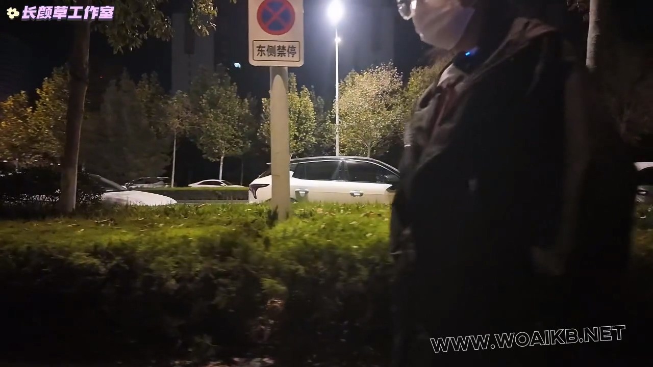 霜喵外出 TD刺激 伸手抚摸下部 强制下跪 呻吟不断 吊带丝袜 预览图