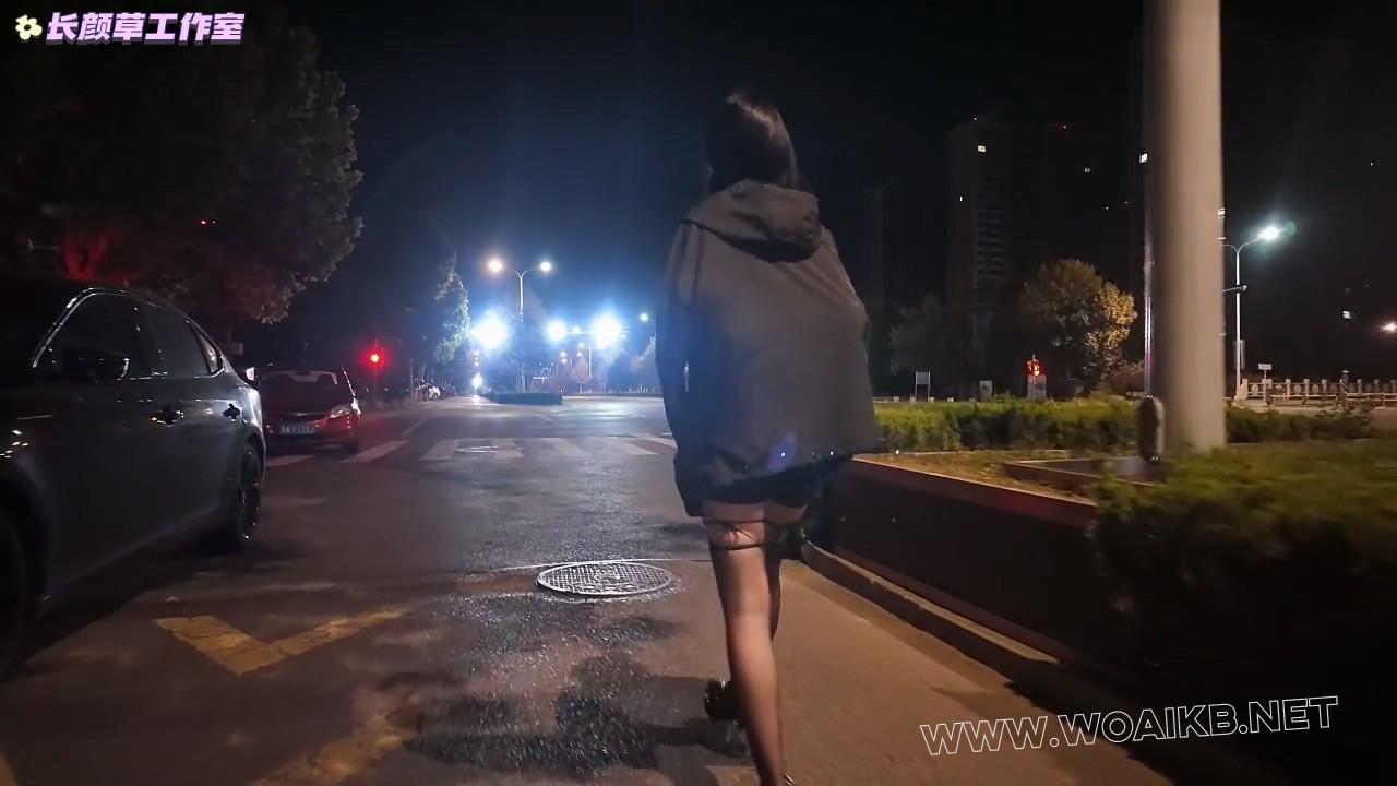 霜喵外出 TD刺激 伸手抚摸下部 强制下跪 呻吟不断 吊带丝袜 预览图