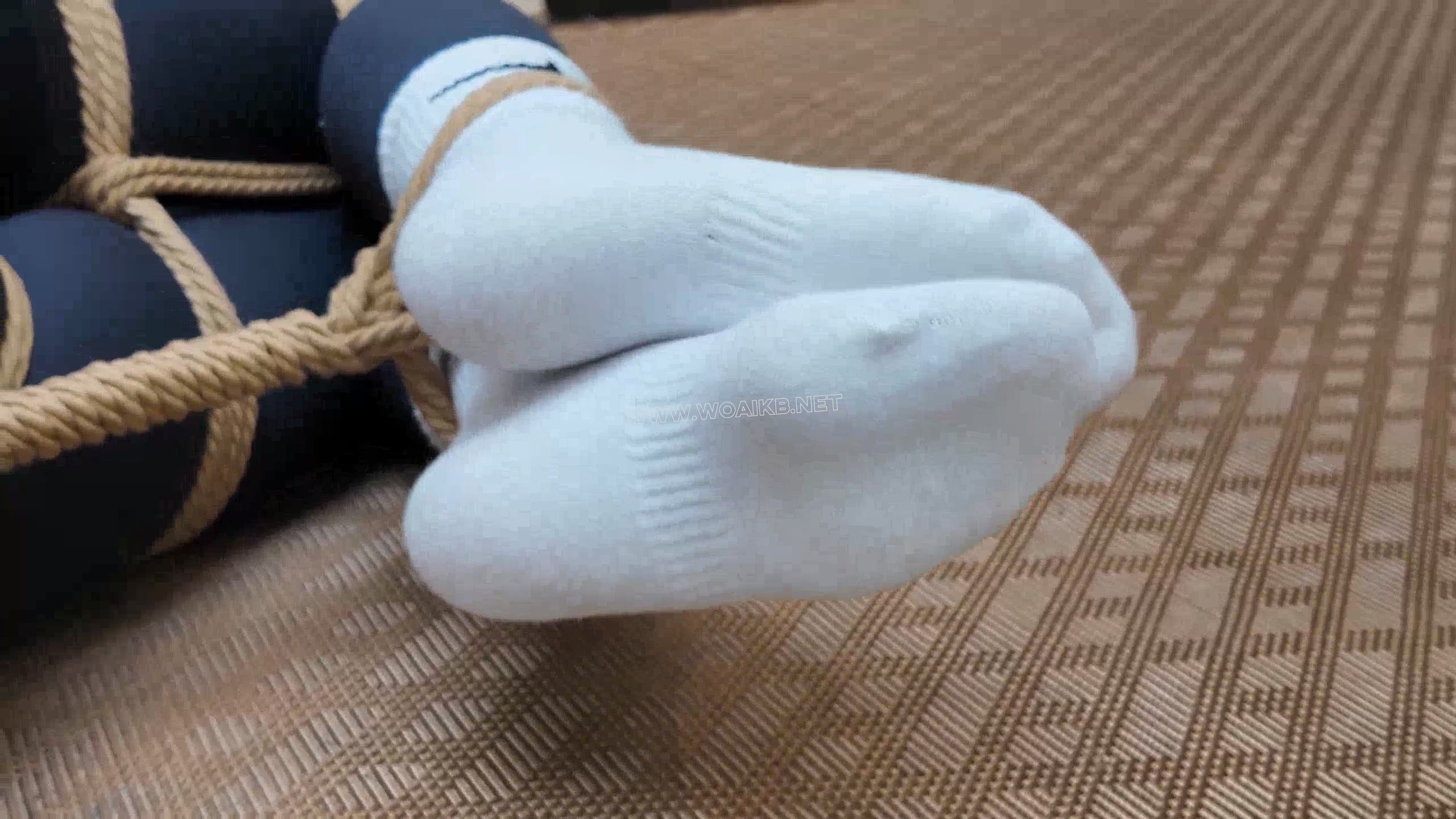 不劳而获之盗（下） 预览图
