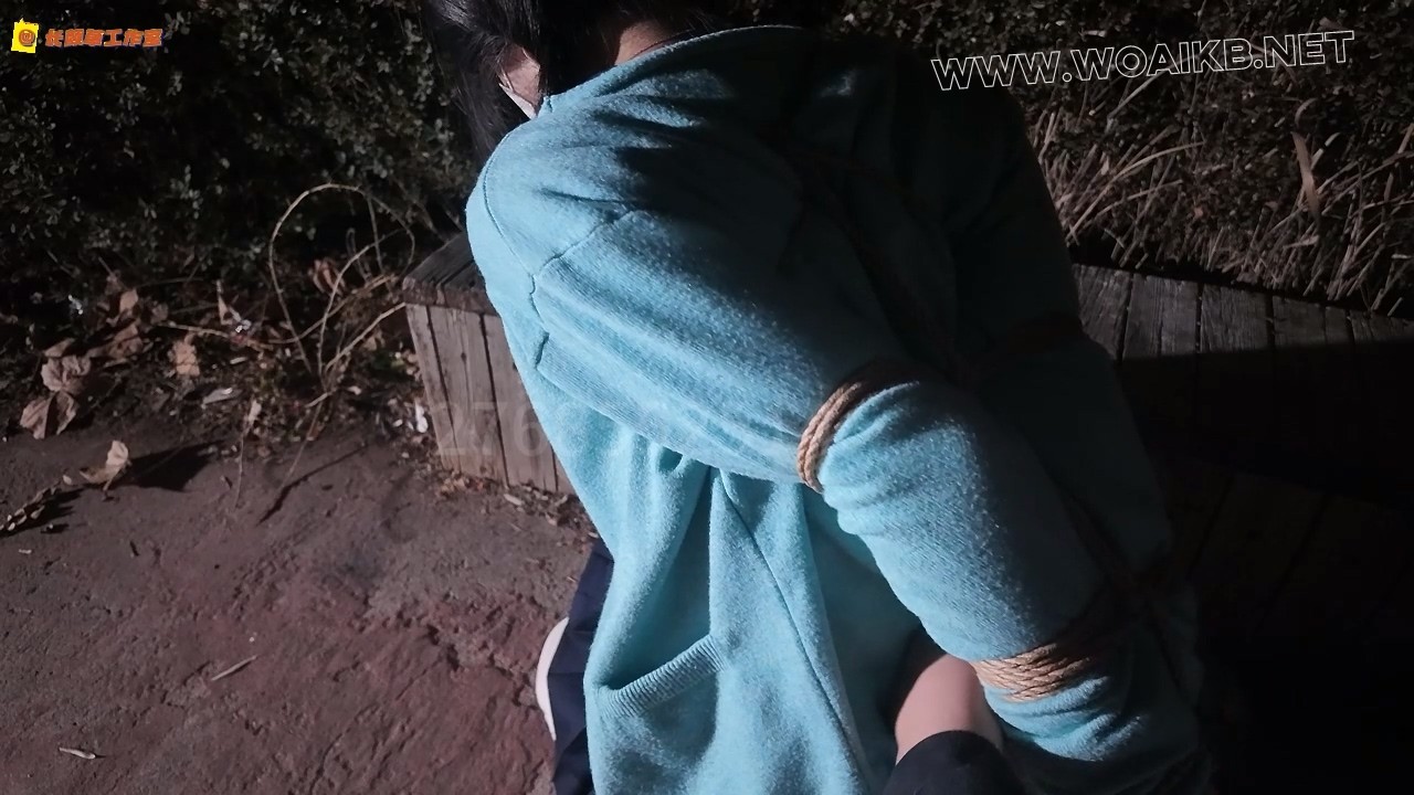 户外调教少萝 td强高 绑上腿还蹦蹦跳跳想逃跑 罚跪 爬行 预览图