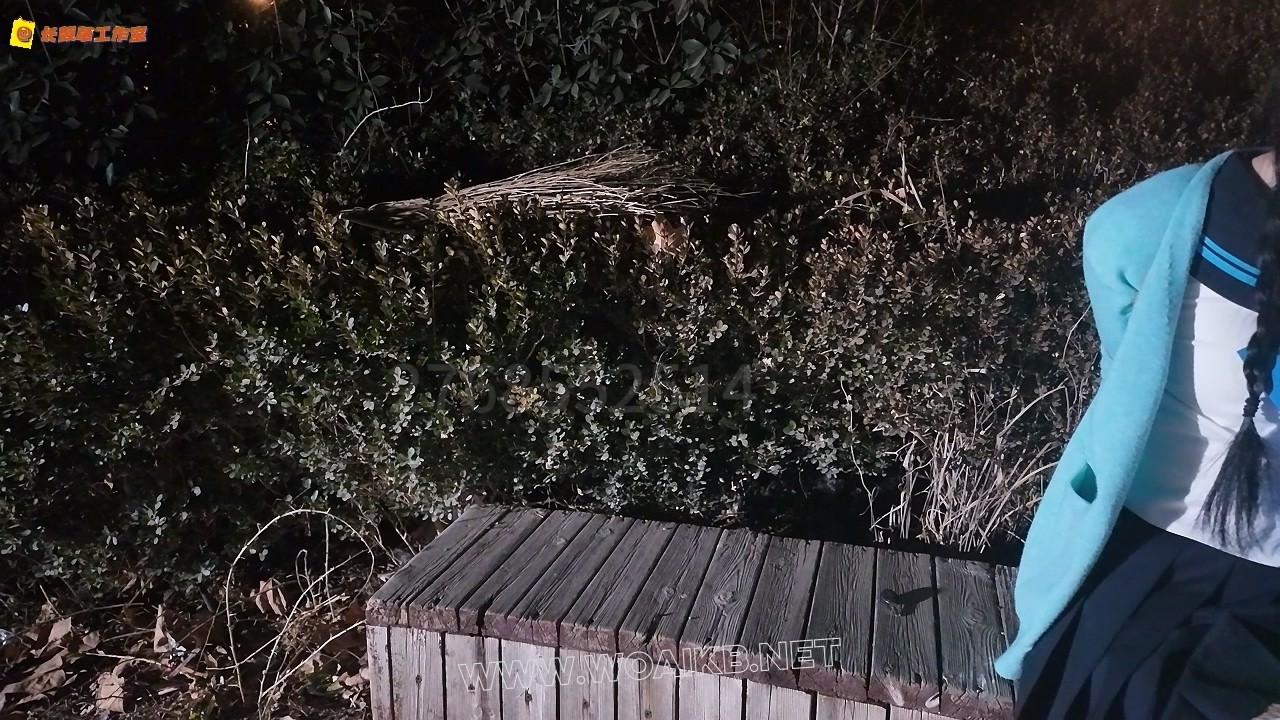 户外调教少萝 td强高 绑上腿还蹦蹦跳跳想逃跑 罚跪 爬行 预览图