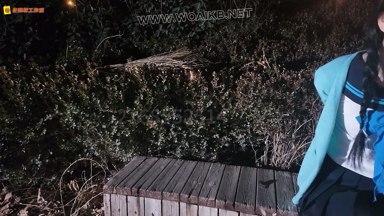 户外调教少萝 td强高 绑上腿还蹦蹦跳跳想逃跑 罚跪 爬行 预览图