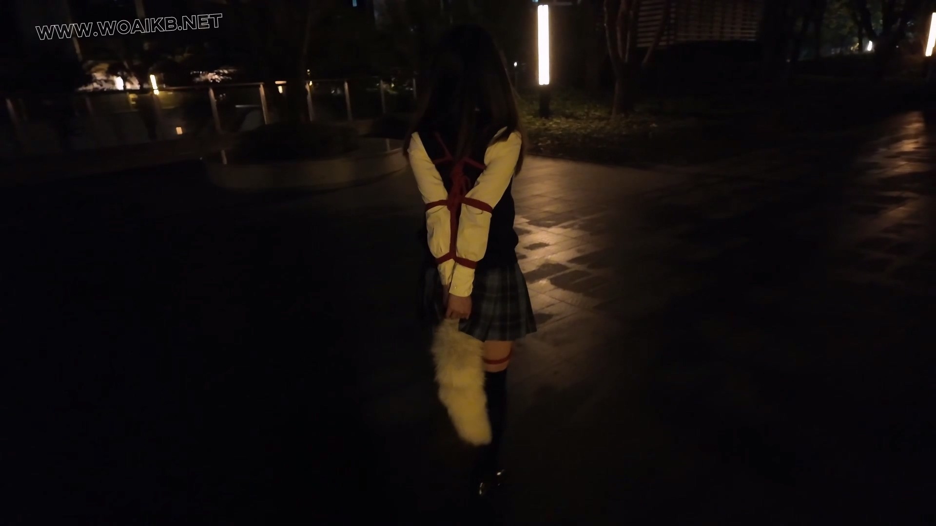 惩罚黑长直jk优等生少女佩戴尾巴捆绑露出后被男人抛弃在路边 预览图