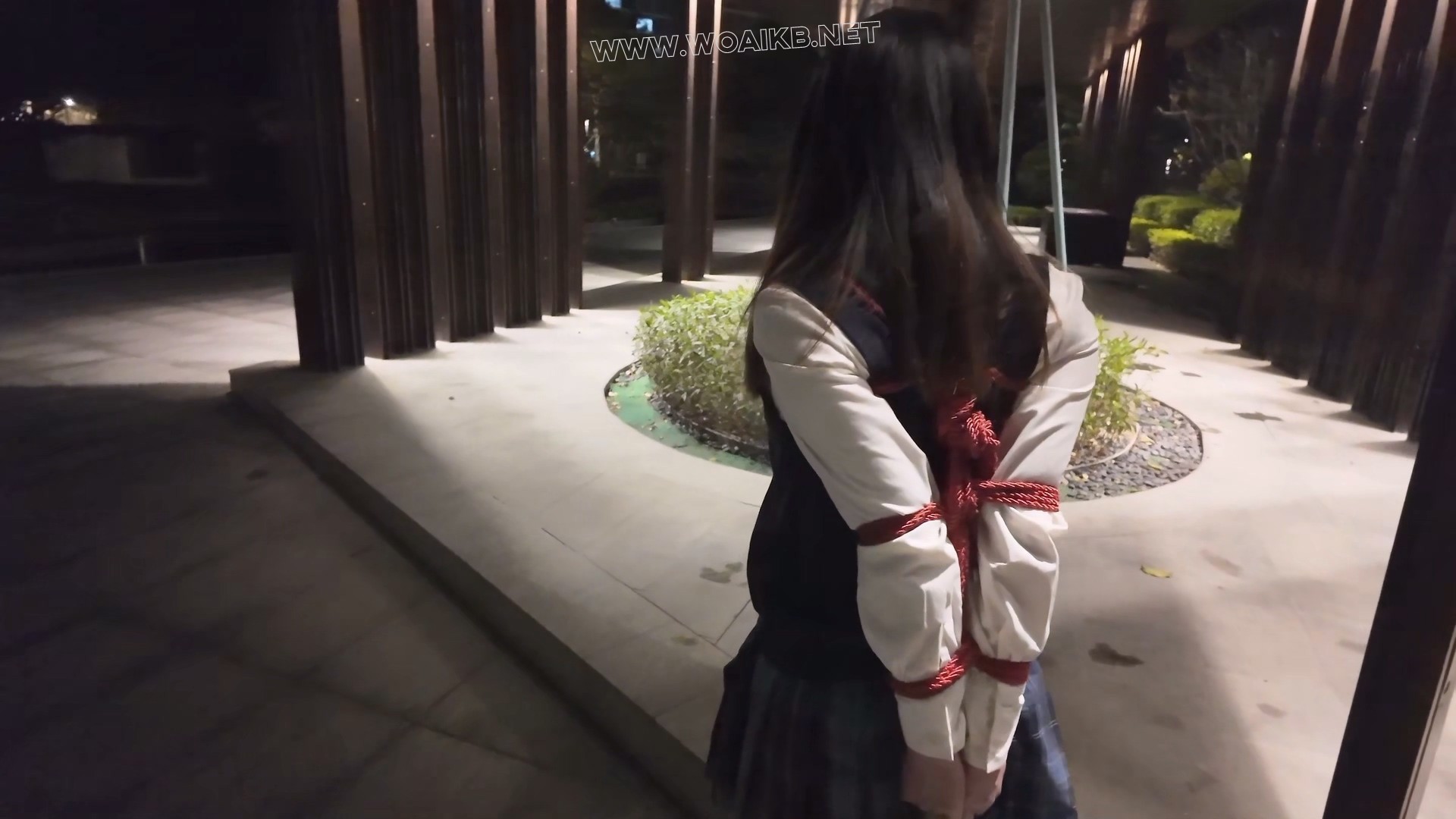 惩罚黑长直jk优等生少女佩戴尾巴捆绑露出后被男人抛弃在路边 预览图