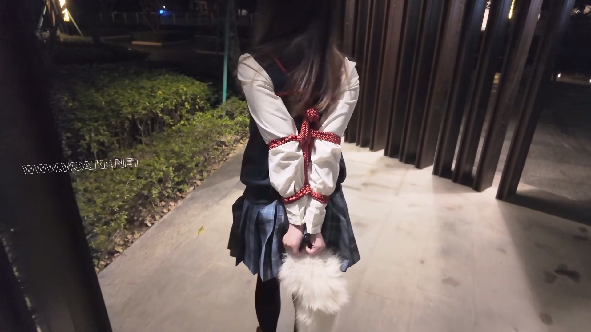 惩罚黑长直jk优等生少女佩戴尾巴捆绑露出后被男人抛弃在路边 预览图