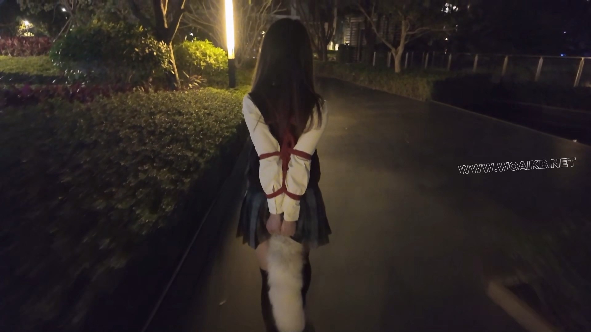 惩罚黑长直jk优等生少女佩戴尾巴捆绑露出后被男人抛弃在路边 预览图