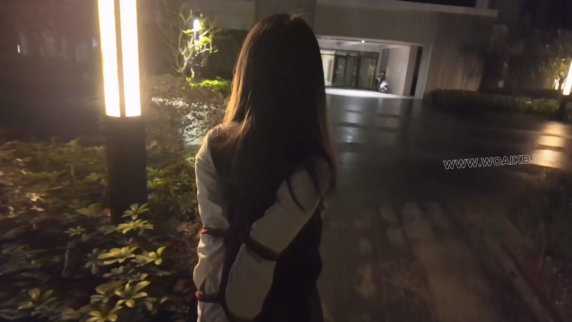 惩罚黑长直jk优等生少女佩戴尾巴捆绑露出后被男人抛弃在路边 预览图