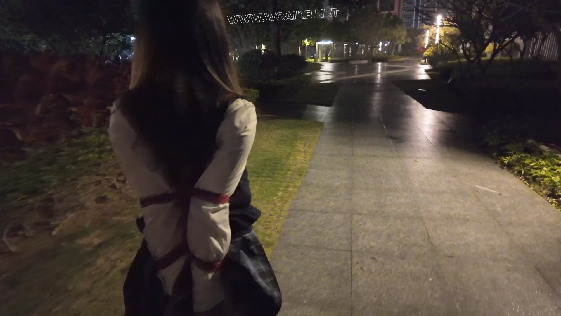 惩罚黑长直jk优等生少女佩戴尾巴捆绑露出后被男人抛弃在路边 预览图