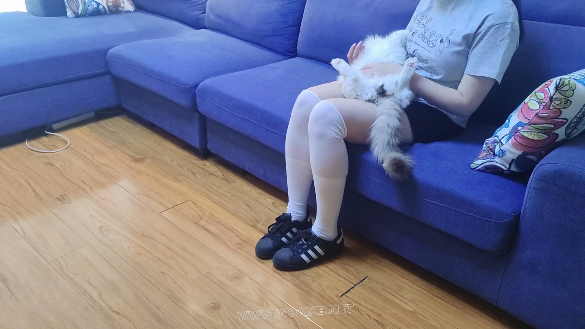174欣欣过膝袜驷马放置tk 预览图
