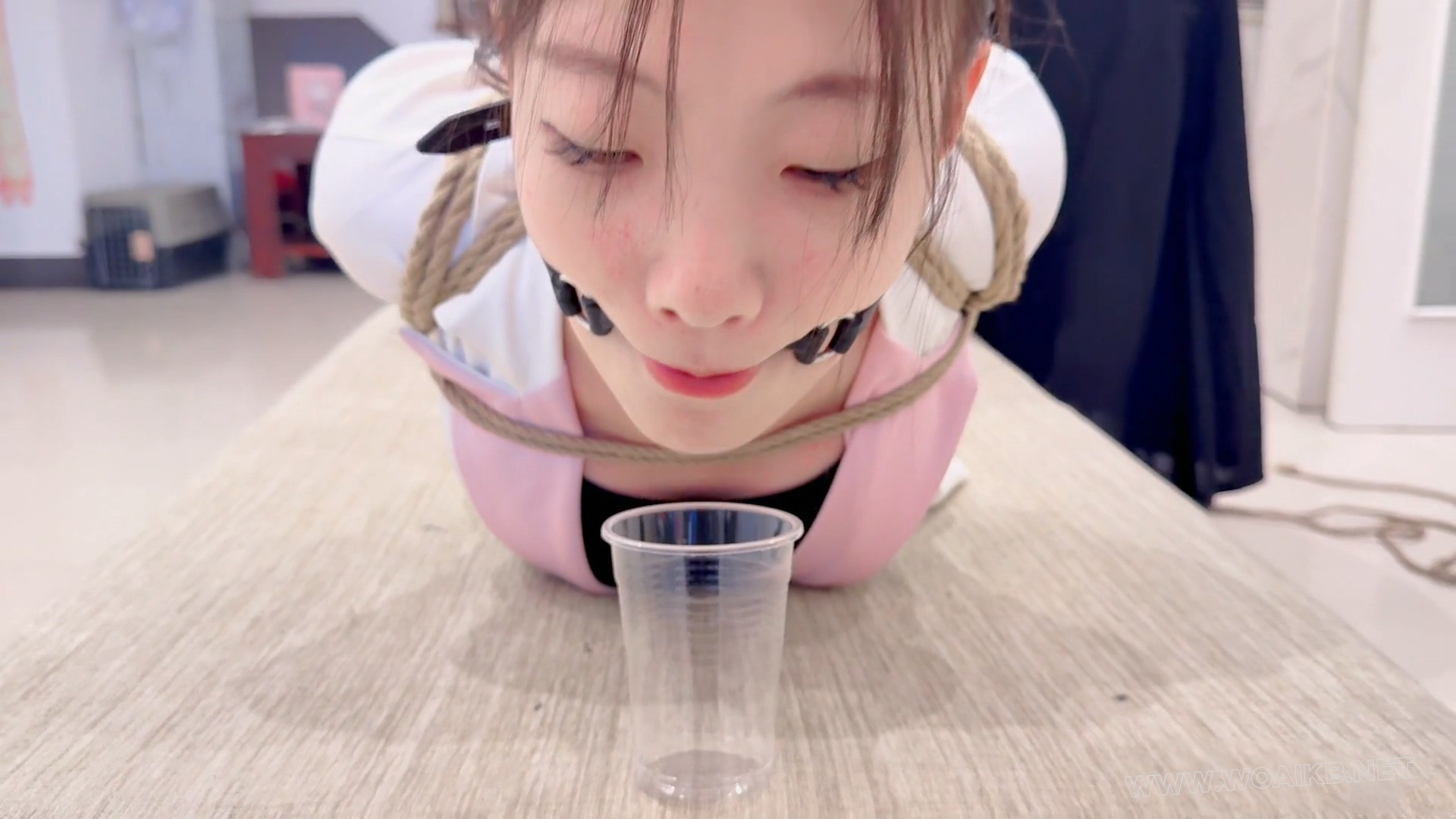 直臂驷马两头翘+口水收集 预览图