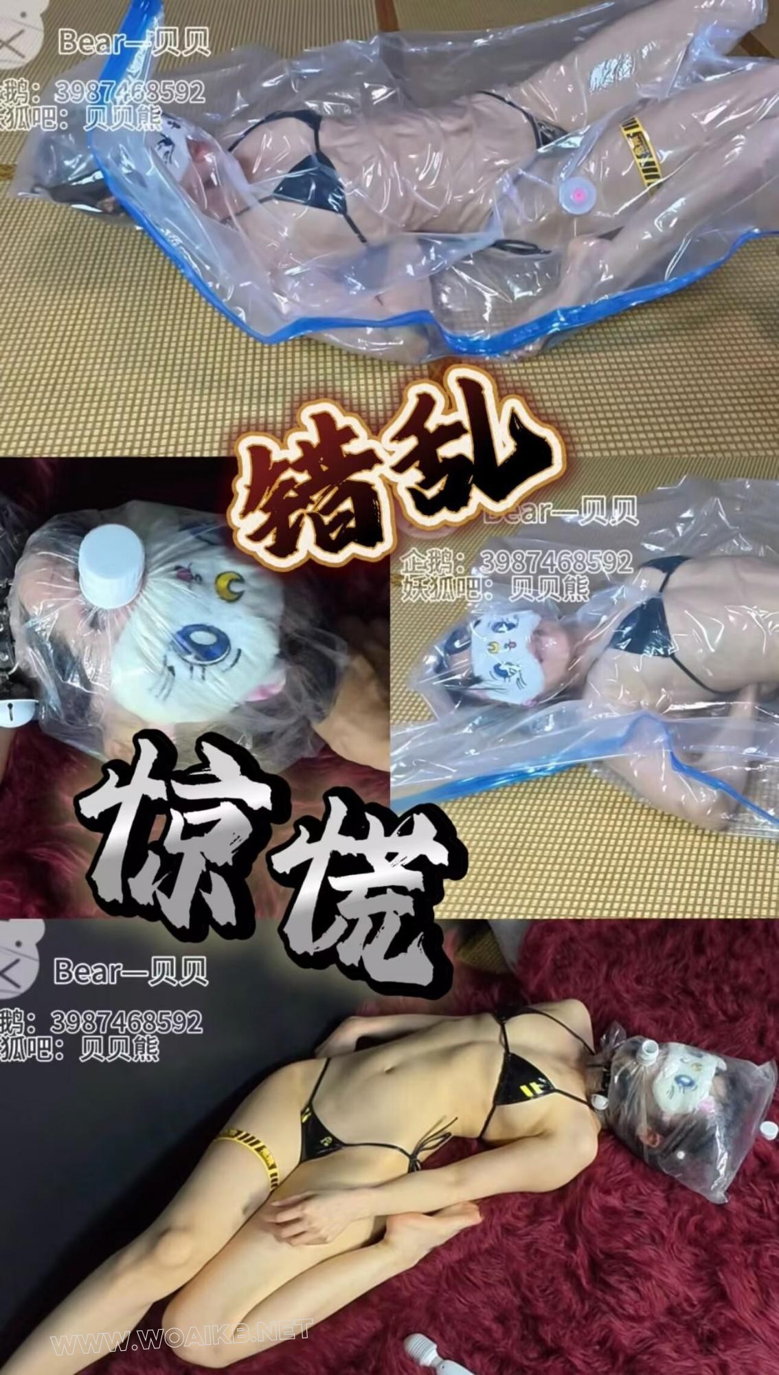 摸摸可怜的贝贝，一天被小熊弄哭两次还崩溃了！！也不能怪小熊，谁让贝贝穿比基尼… 封面图