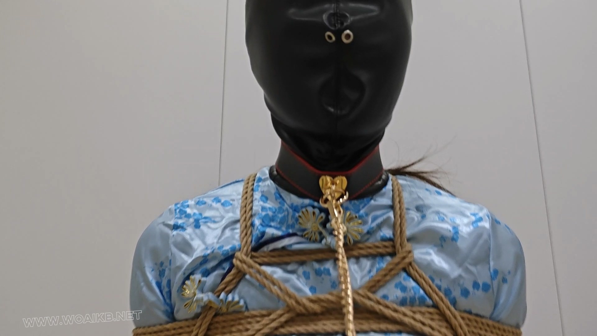 小九妹子的zhixi木马zdb调教 预览图